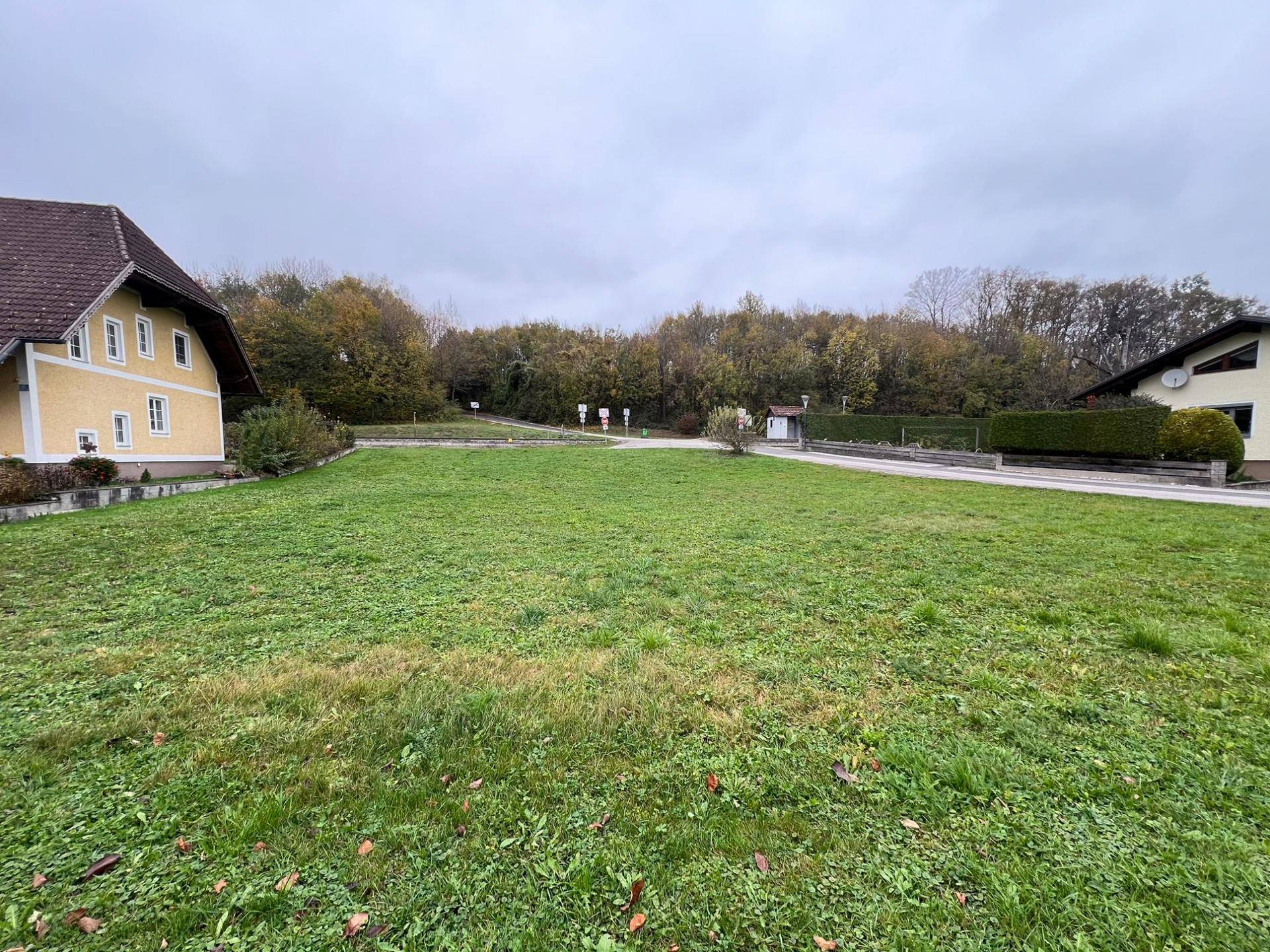 Blick auf eine weitläufige Rasenfläche des Grundstücks, umgeben von Bäumen und einem angrenzenden Haus.