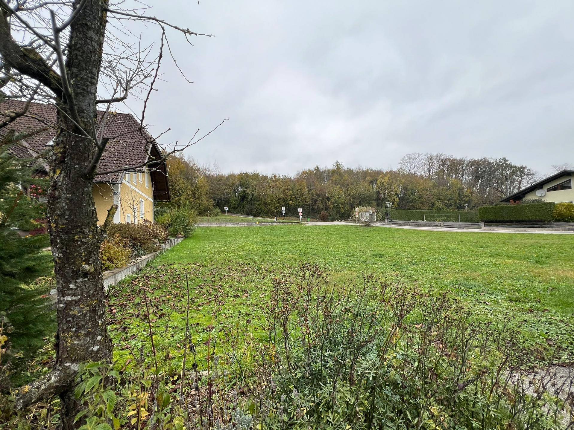 Blick auf das grüne Grundstück mit einem Haus im Hintergrund, umgeben von Bäumen und Sträuchern.