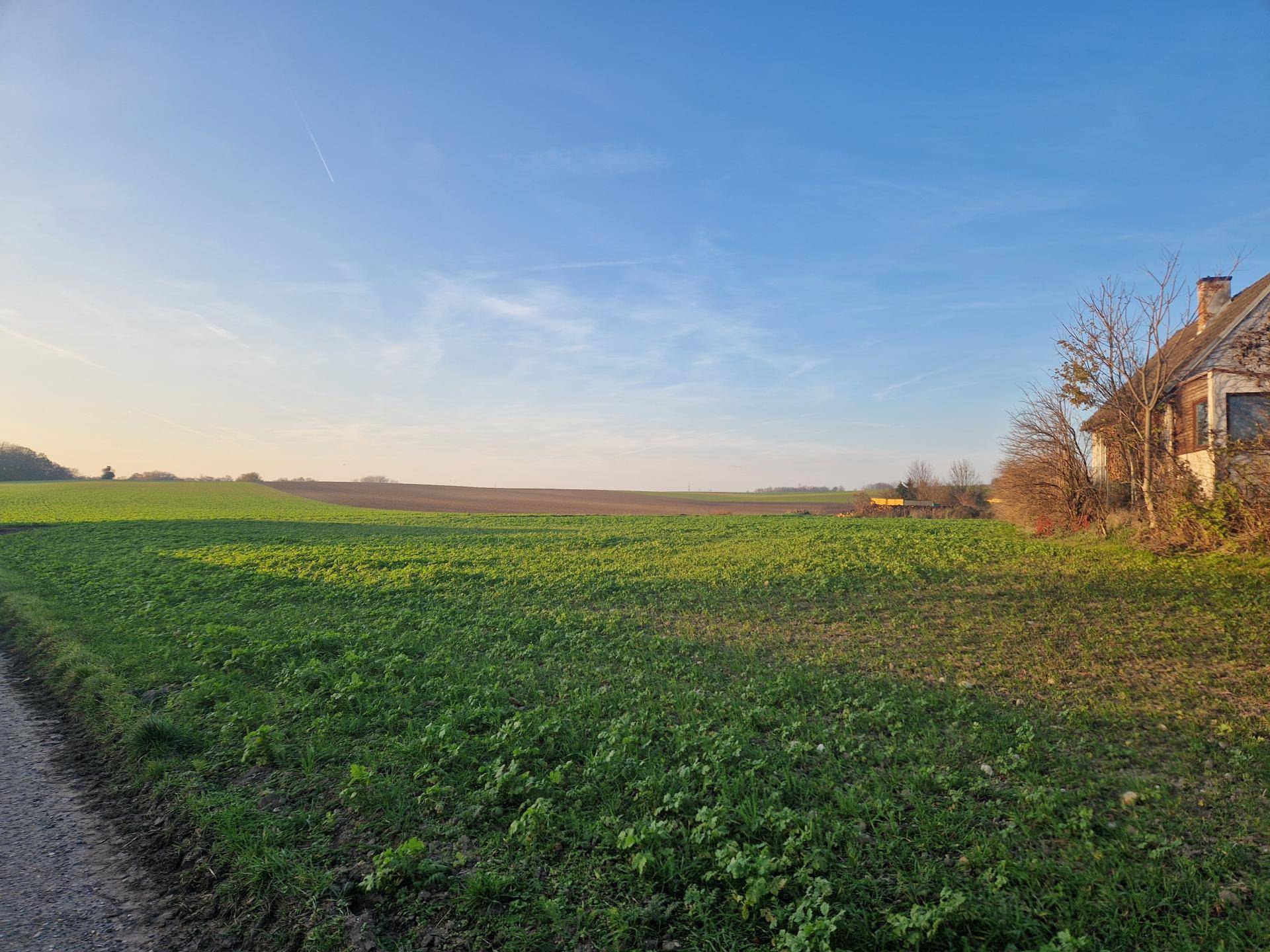 Weitläufige grüne Felder und ein Feldweg in ländlicher Umgebung bei Sonnenuntergang.
