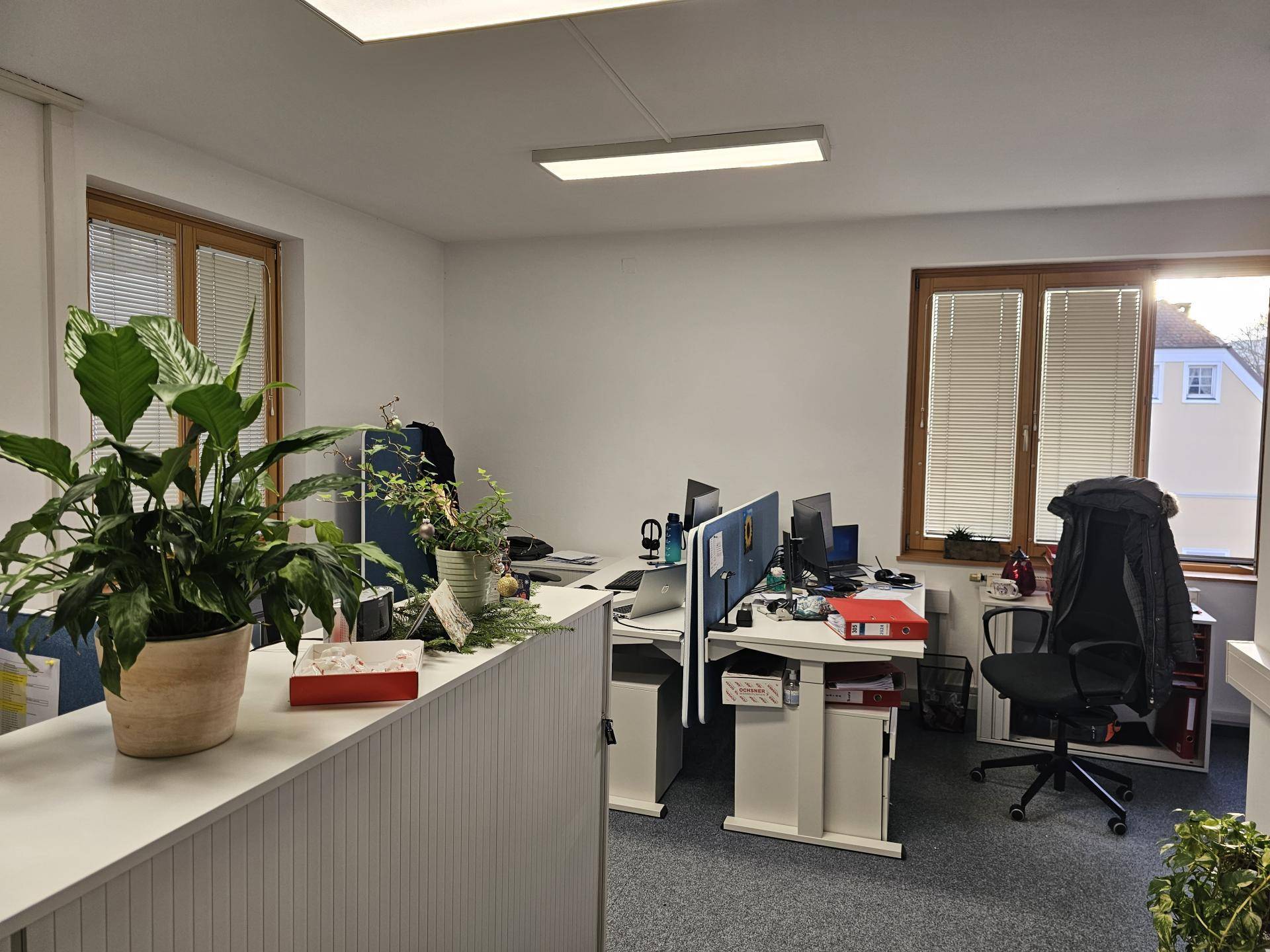 Helles Büro mit mehreren Arbeitsplätzen, grünen Pflanzen und Teppichboden, gut beleuchtet durch Fenster.