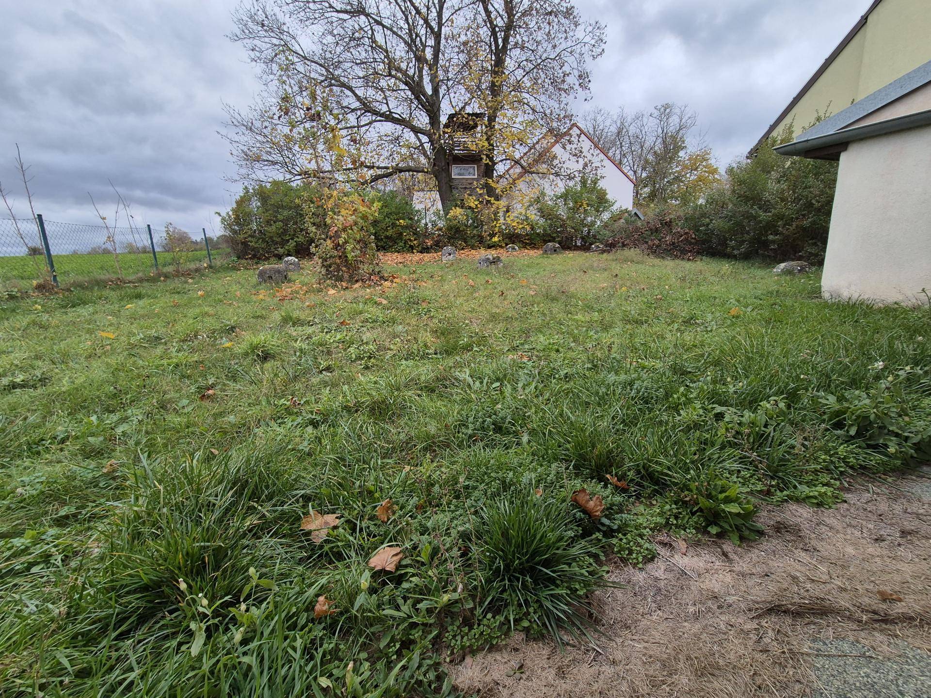 Gartenbereich mit hohem Gras, einem Baum und Blick auf die umliegende Landschaft.