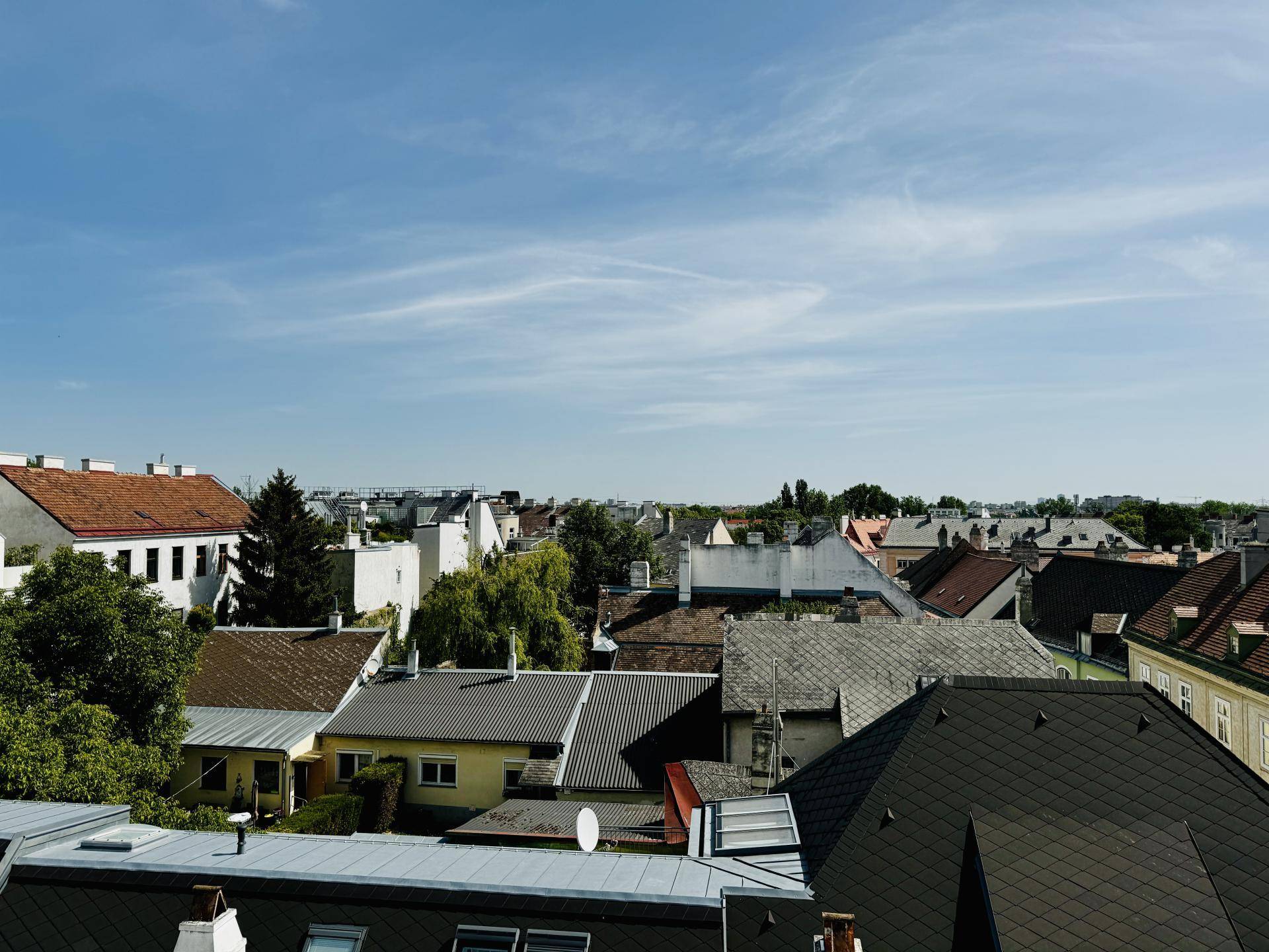 Weitläufiger Blick über die Dächer der Stadt mit viel Grün und blauem Himmel.