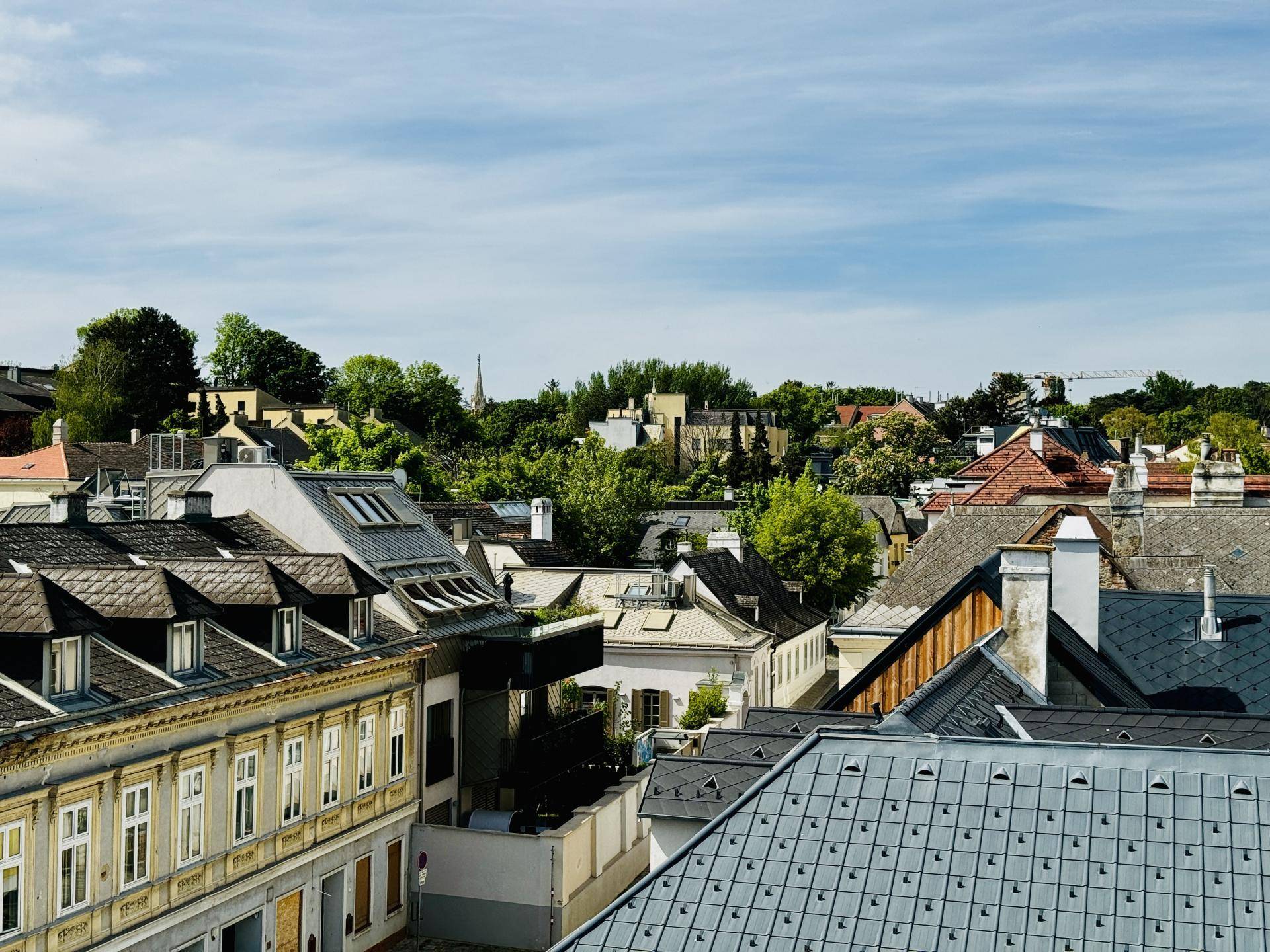Panoramablick über die Dächer der Stadt mit viel Grün und einem Kirchturm in der Ferne unter blauem Himmel.