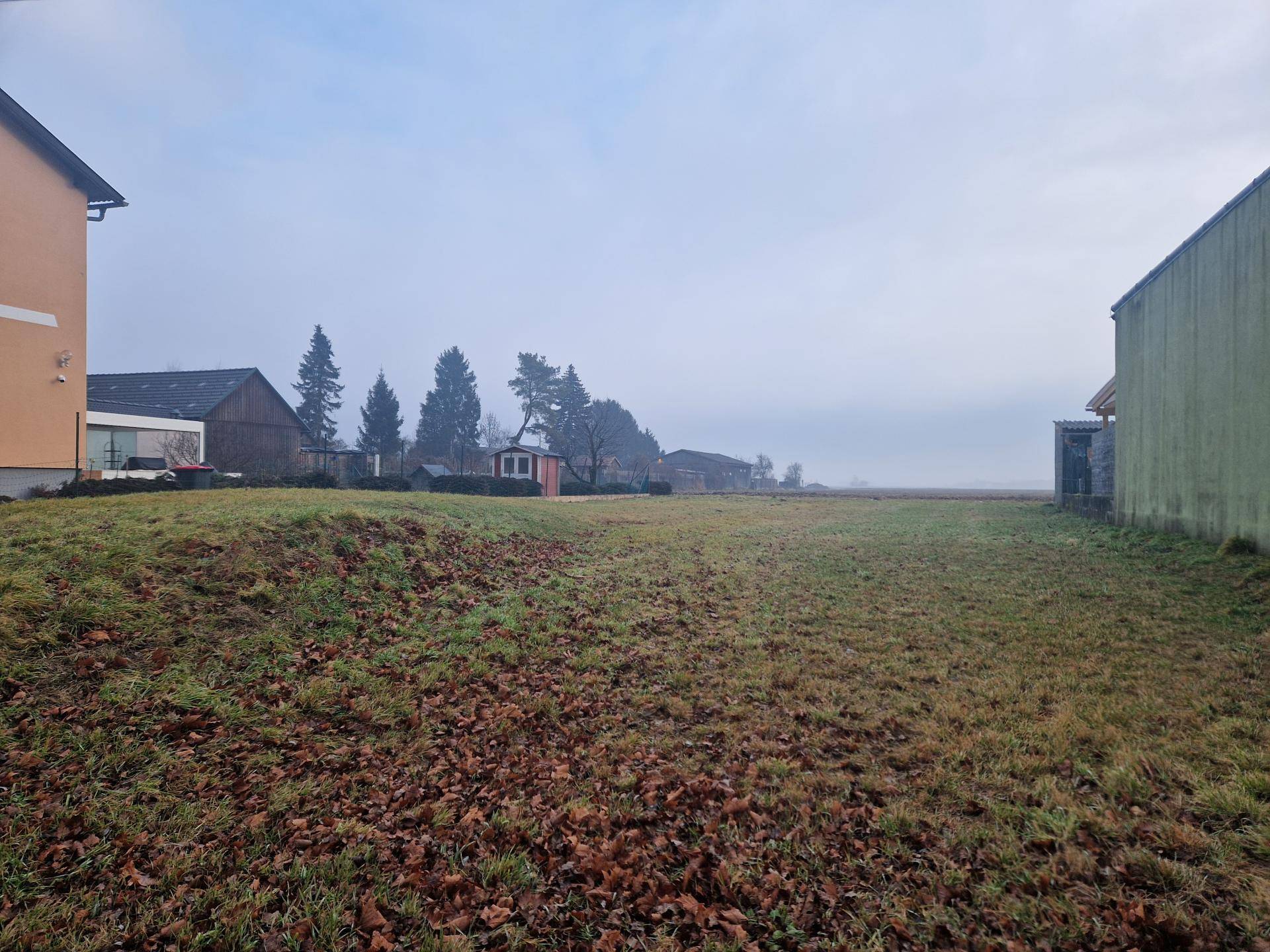 Weitläufiges Feld mit grüner Wiese und einigen Bäumen im Hintergrund unter einem bewölkten Himmel.