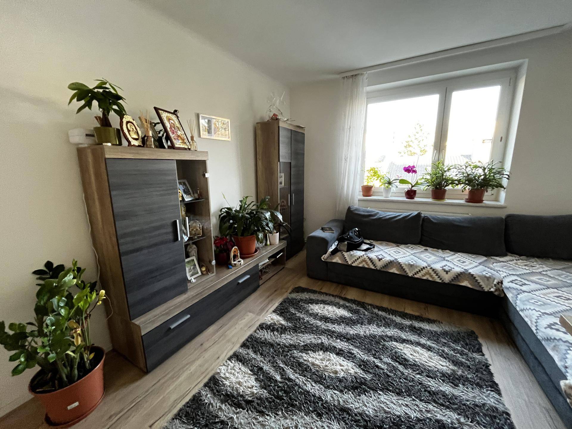 Gemütliches Wohnzimmer mit Sofa, Schränken und Blick ins Grüne durch das große Fenster.