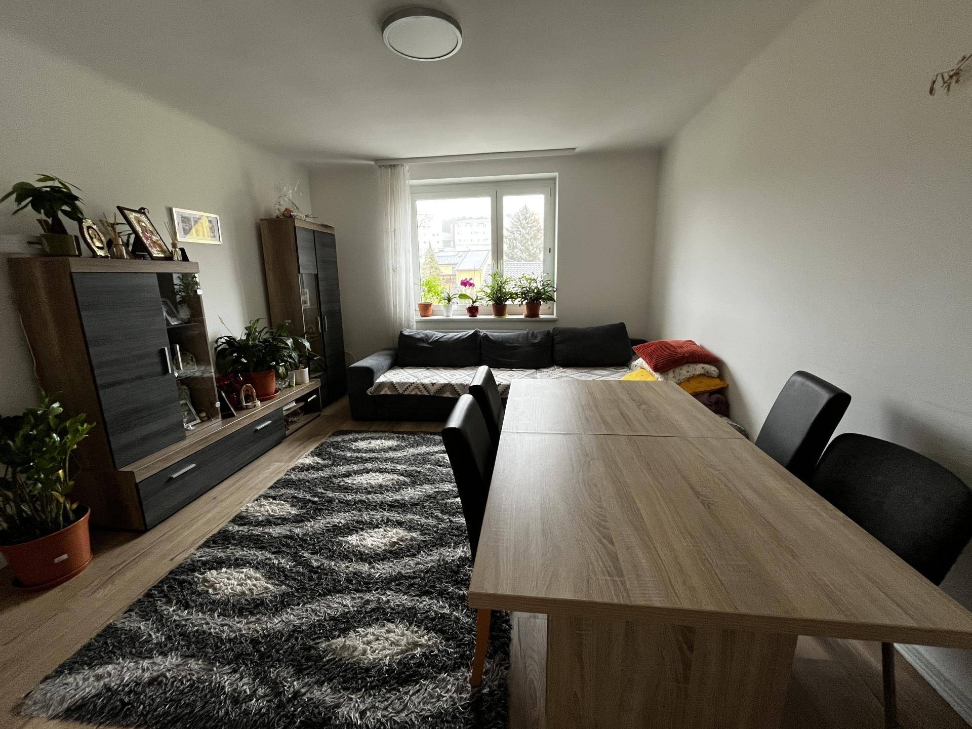 Gemütlicher Wohn-Essbereich mit Sofa, Esstisch und Blick ins Grüne durch das Fenster.