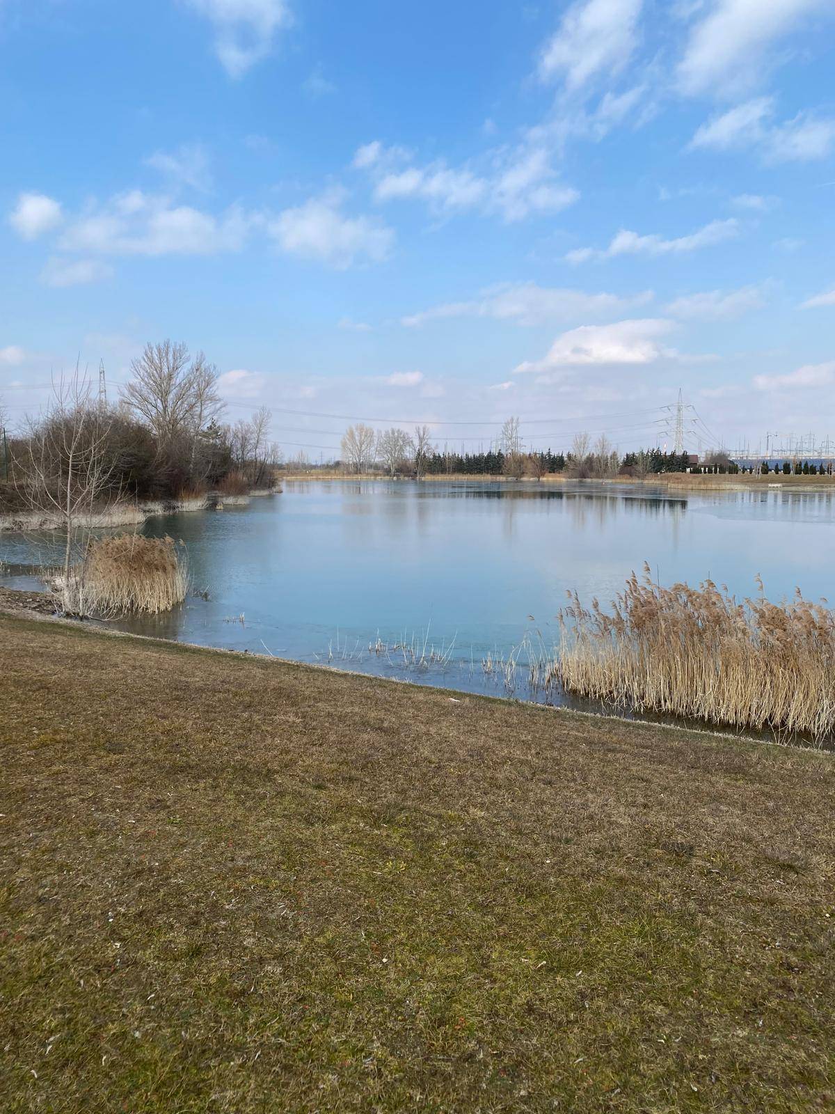 Nahaufnahme eines Sees mit Schilf am Ufer und kahlen Bäumen im Hintergrund unter hellem Himmel.