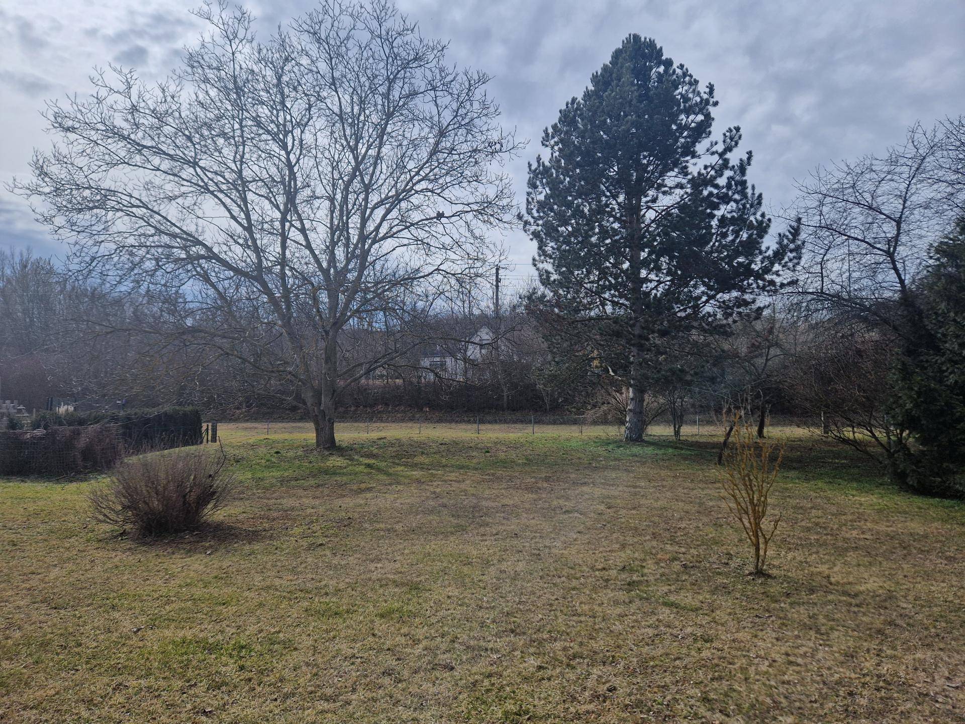 Weitläufiger Gartenbereich mit großen Bäumen und Sträuchern unter bewölktem Himmel.