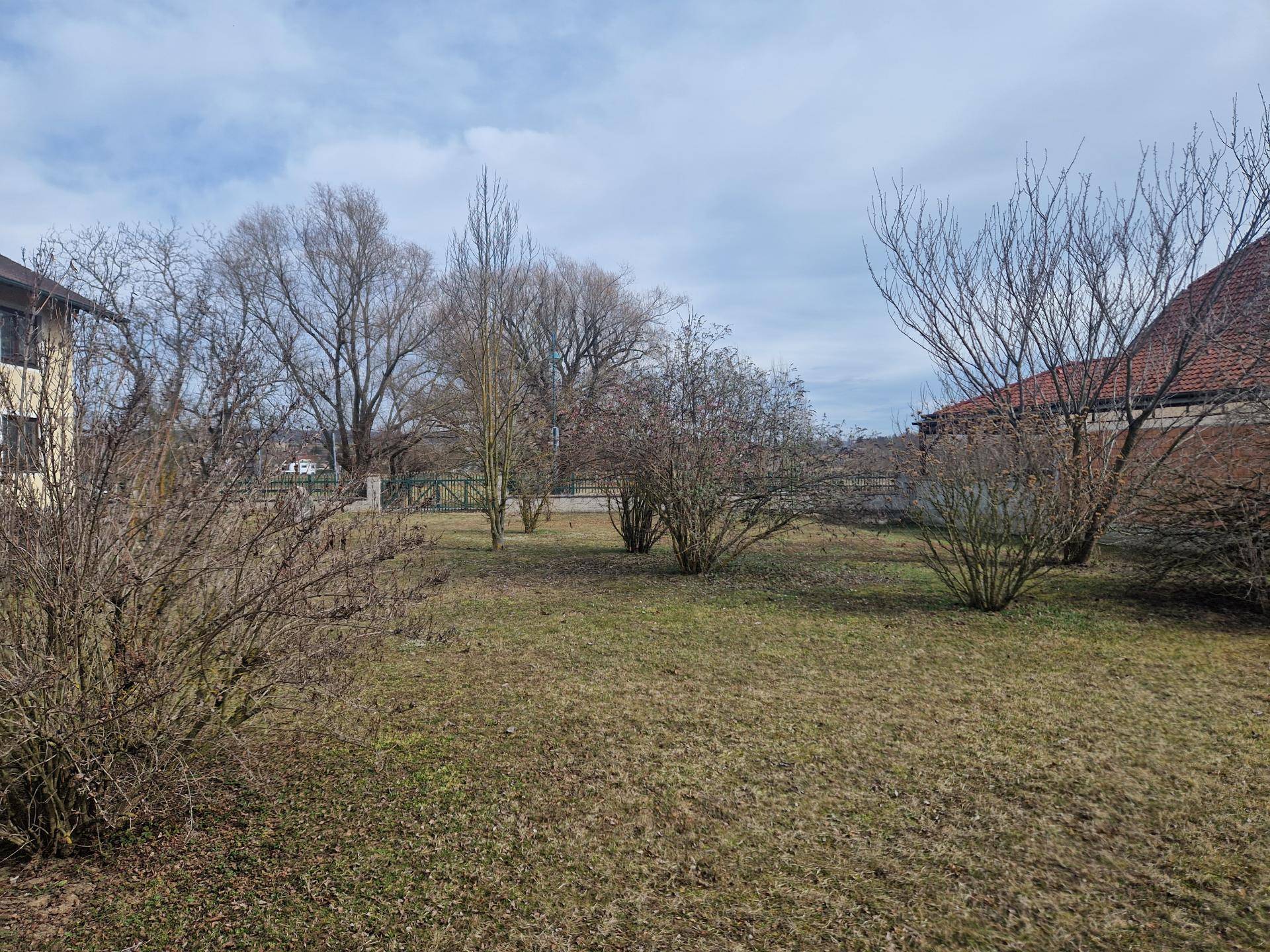 Weitläufiger Garten mit Rasen und verschiedenen Sträuchern und Bäumen.