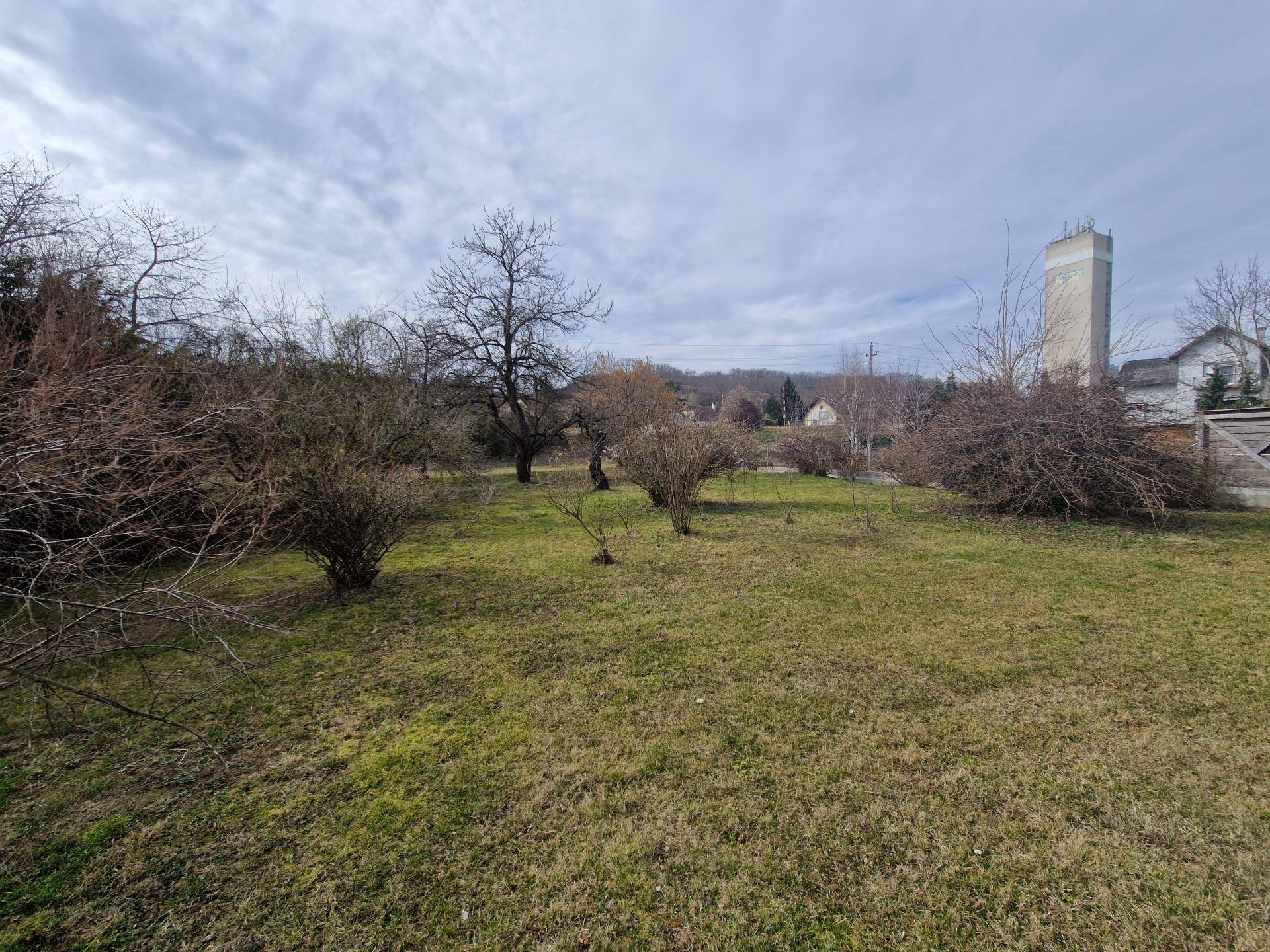 Großer Gartenbereich mit Rasen, Sträuchern und einem Wasserturm im Hintergrund.
