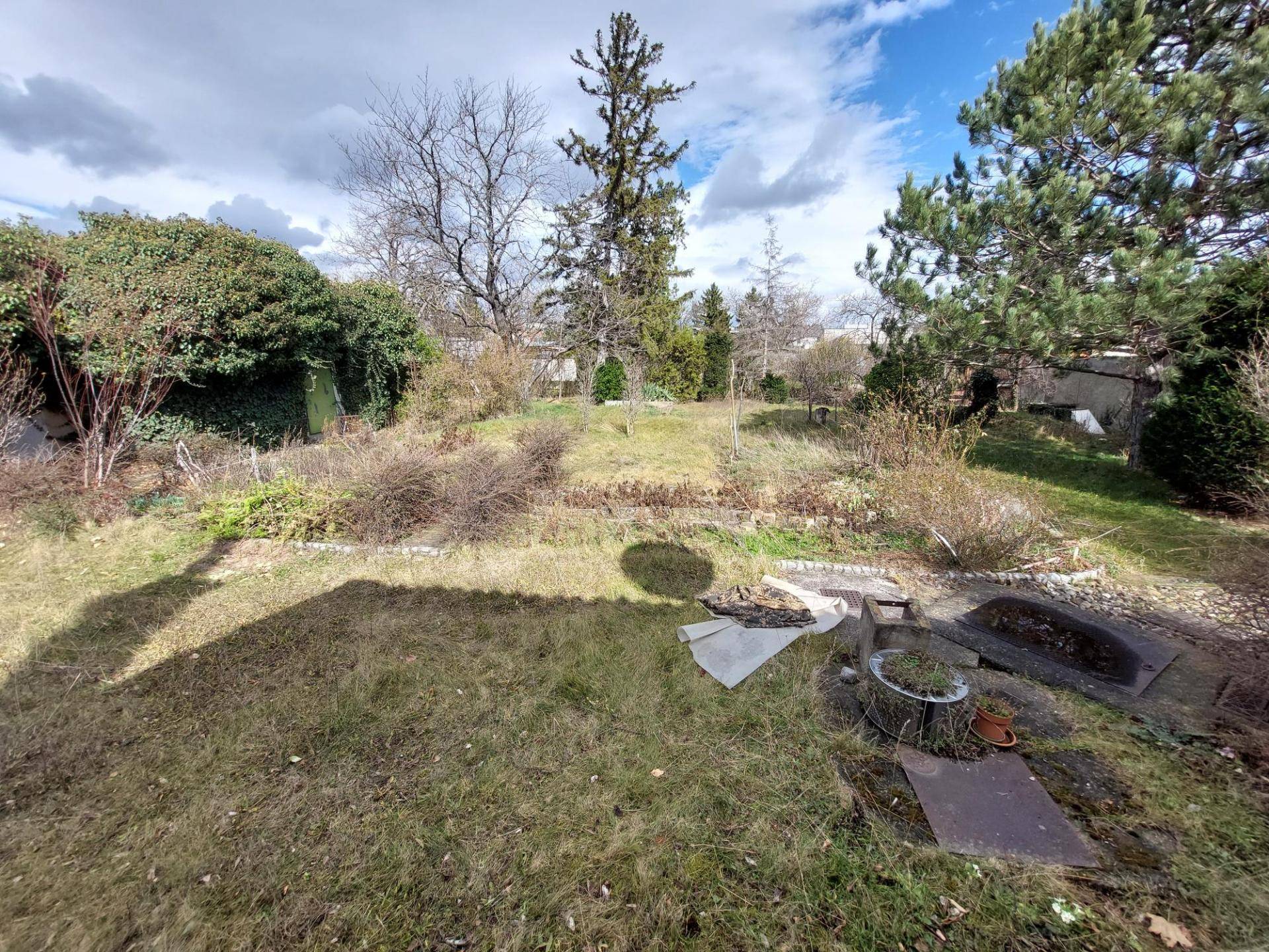 Großer, verwilderter Garten mit verschiedenen Bäumen und Sträuchern unter einem bewölkten Himmel.