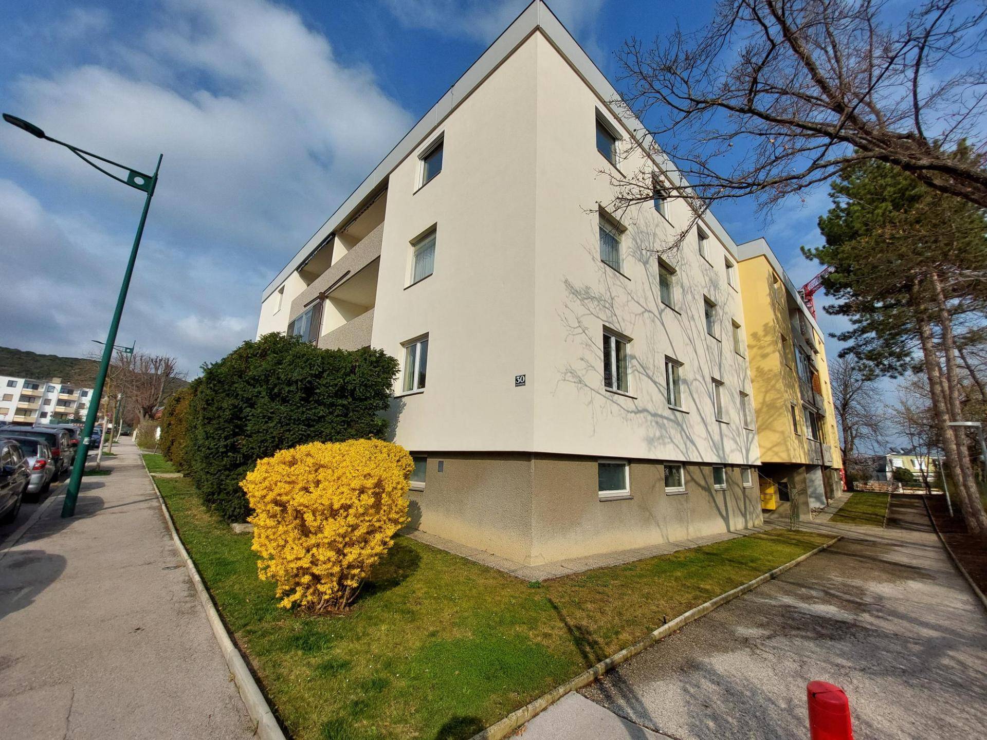 Mehrfamilienhaus mit heller Fassade, Grünflächen und blühendem Strauch im Frühling.