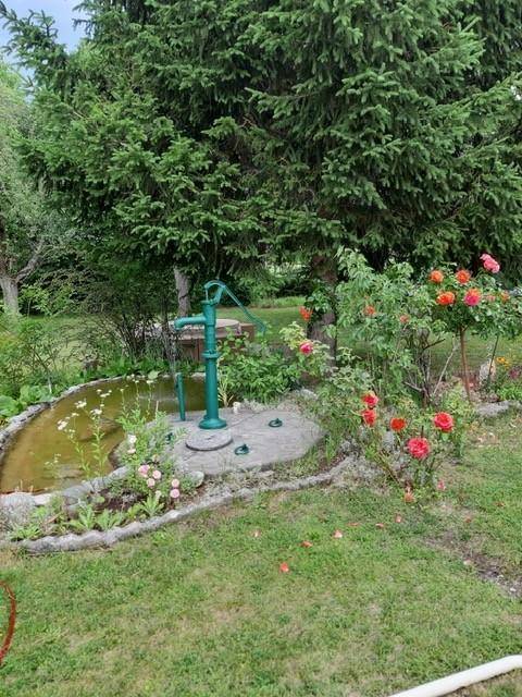 Idyllischer Gartenbereich mit einem kleinen Teich, einer dekorativen Wasserpumpe und Rosenbüschen.