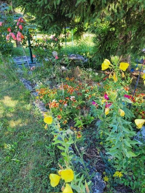Farbenfrohes Blumenbeet im Garten mit verschiedenen Pflanzen und Sträuchern unter einem großen Baum.