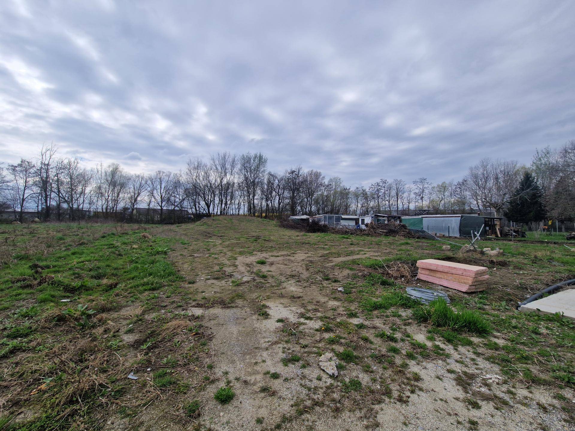 Weitläufiges, noch ungestaltetes Gartengrundstück mit natürlicher Vegetation und Blick in die Ferne.