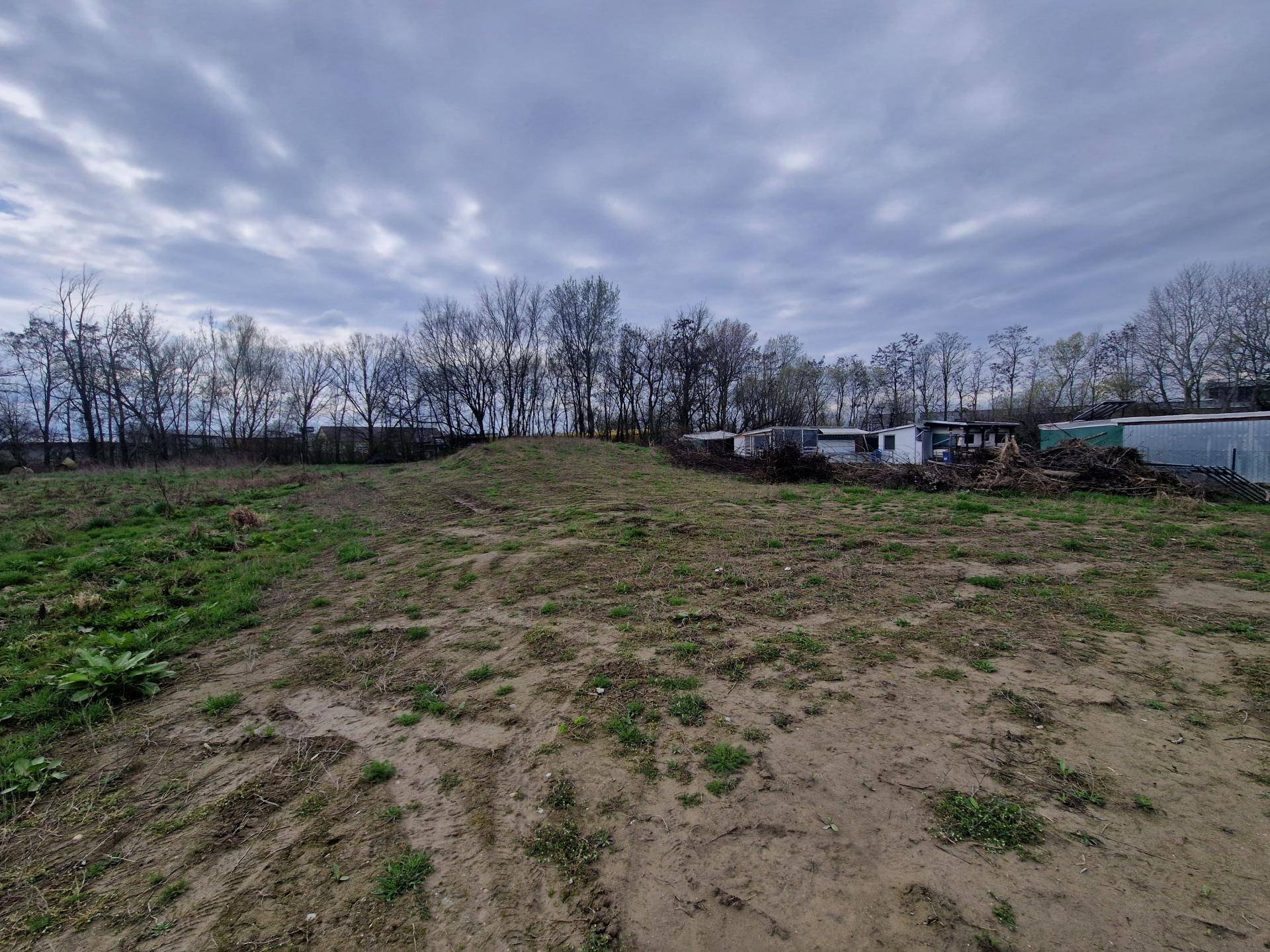 Großes, unkultiviertes Gartengrundstück mit sanften Hügeln und einer Reihe von Bäumen im Hintergrund.