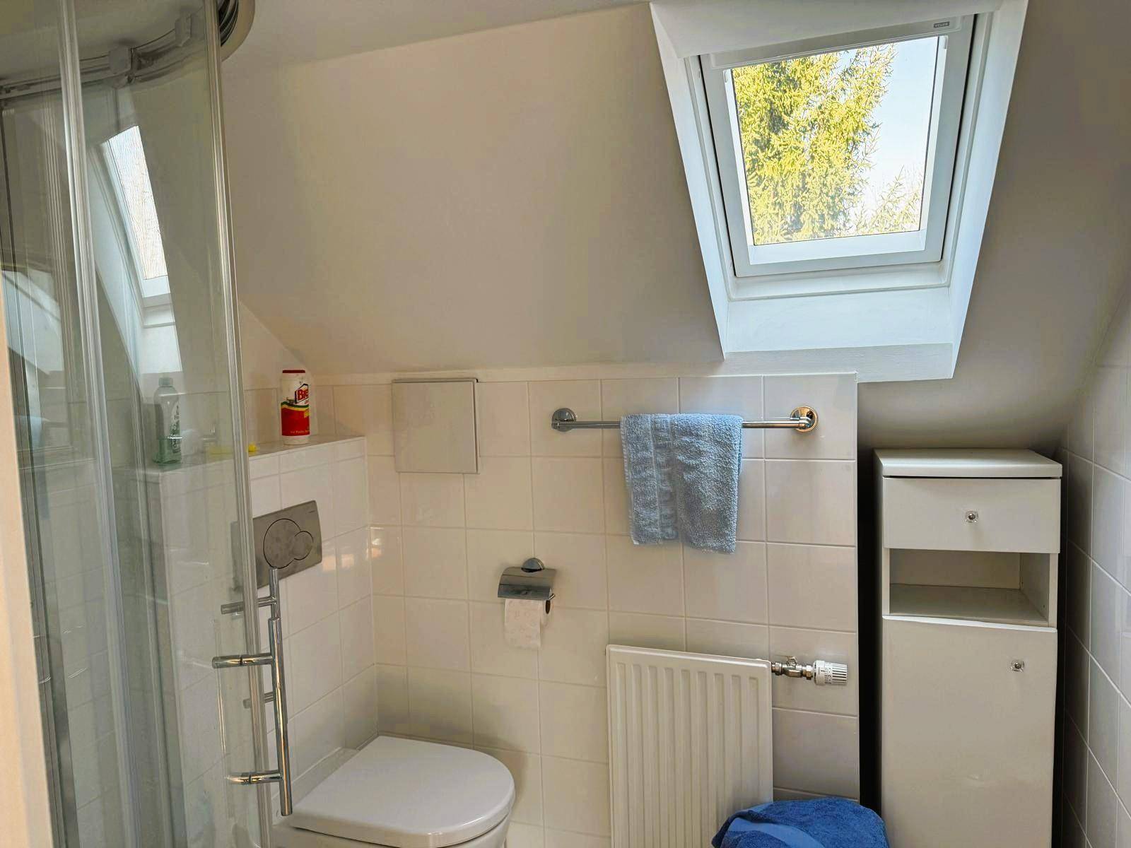 Modernes Badezimmer im Dachgeschoss mit Dusche, WC und einem Dachfenster für viel Tageslicht.