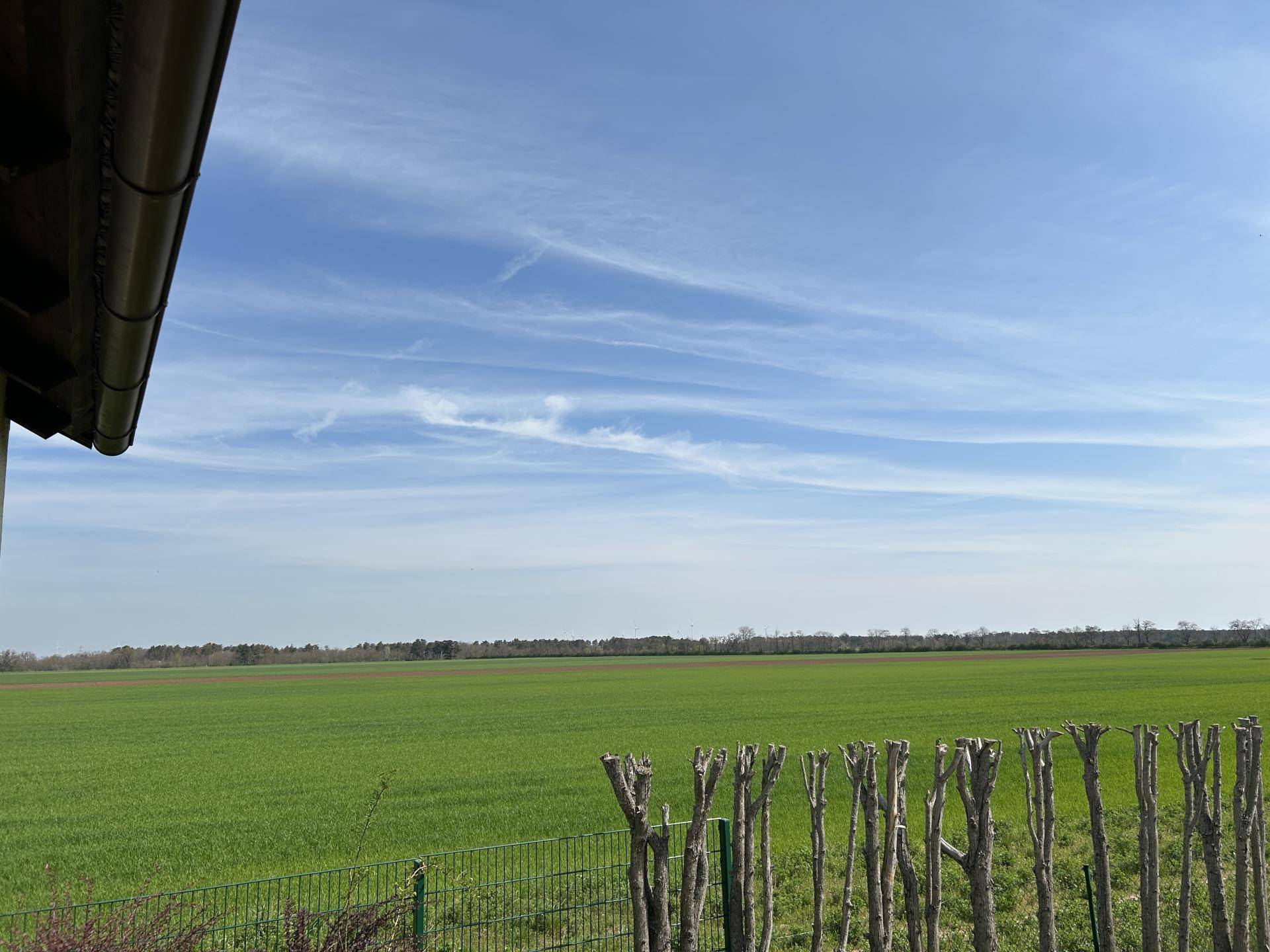 Ausblick Garten
