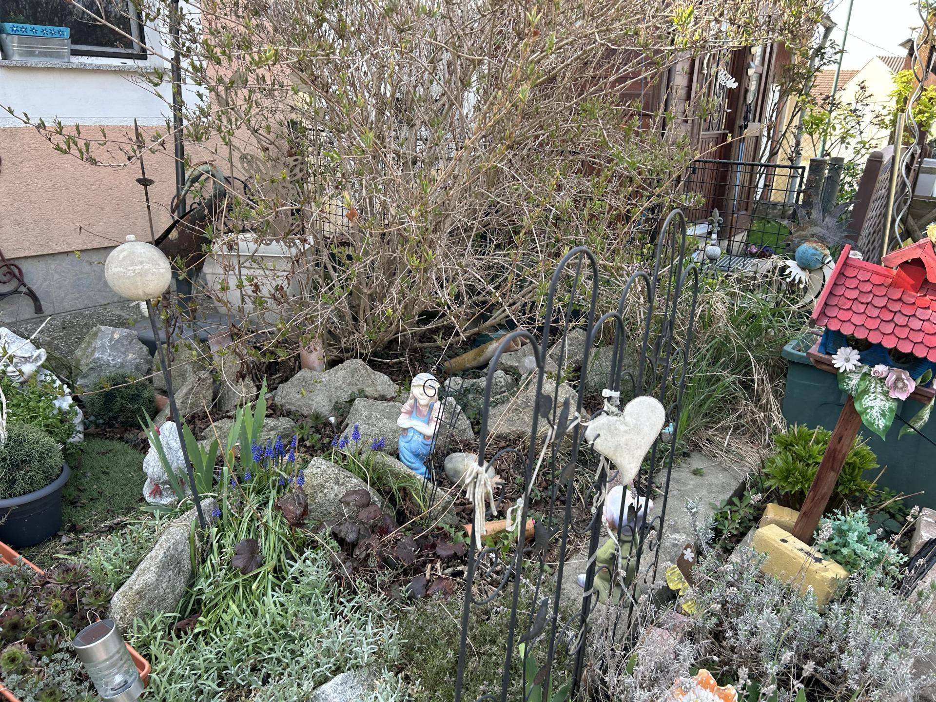 Kleiner Garten