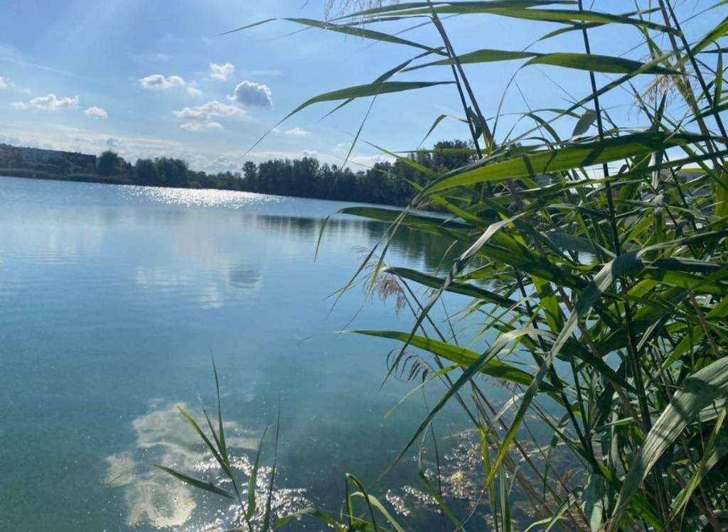 Felser See