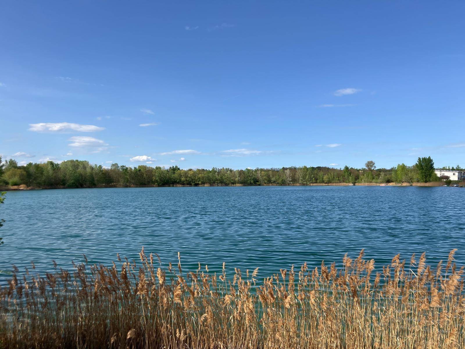 Seeblick