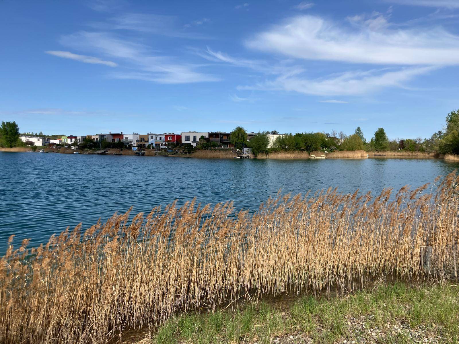 Seeblick