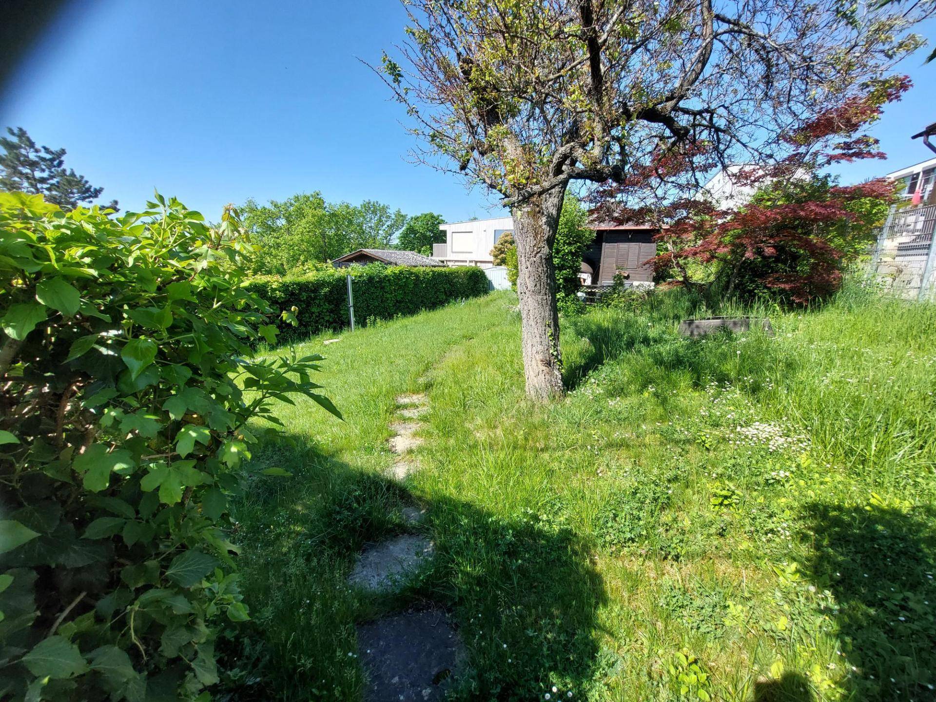Blickrichtung Westen