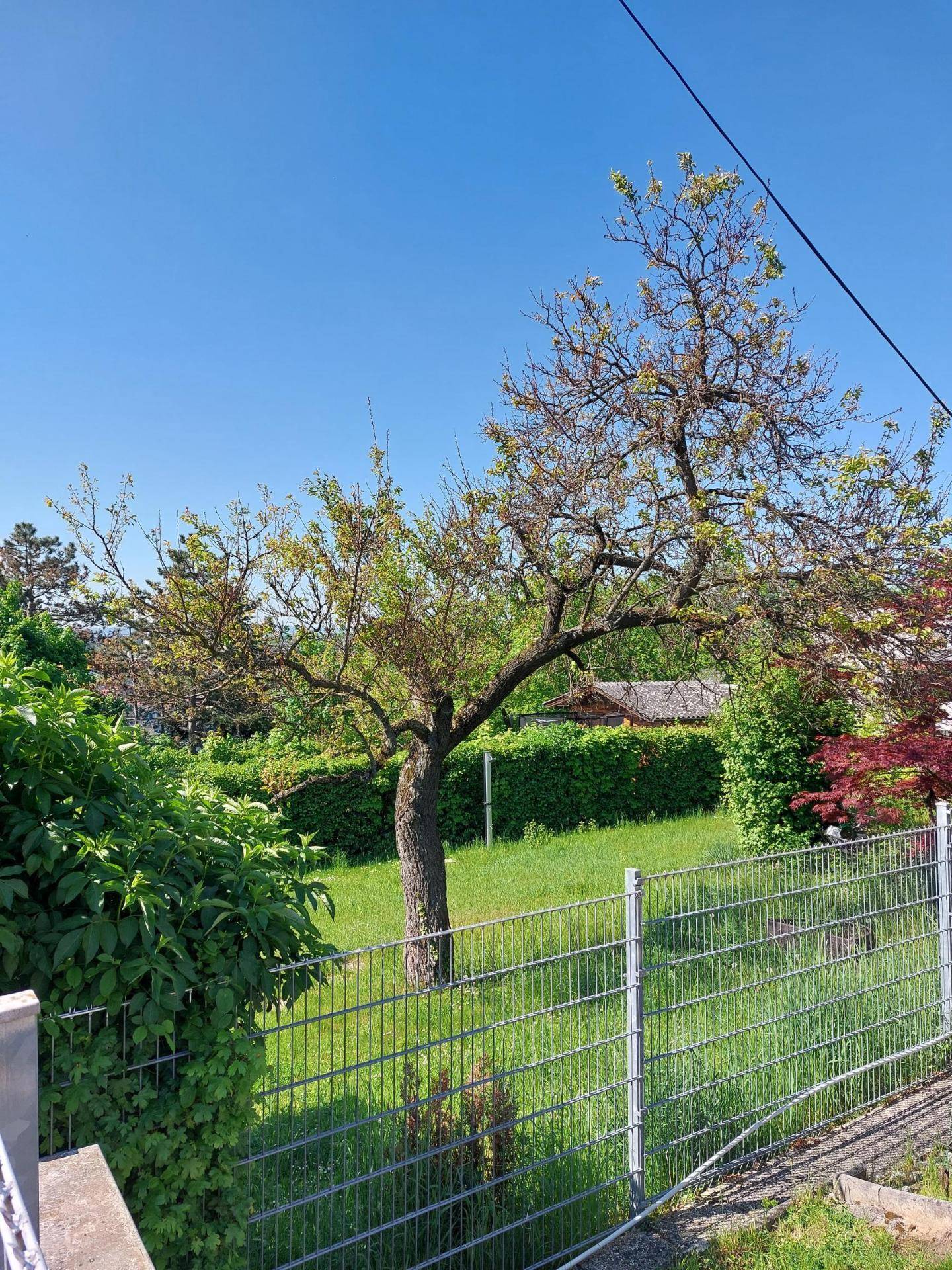 Garten Blickrichtung Süden