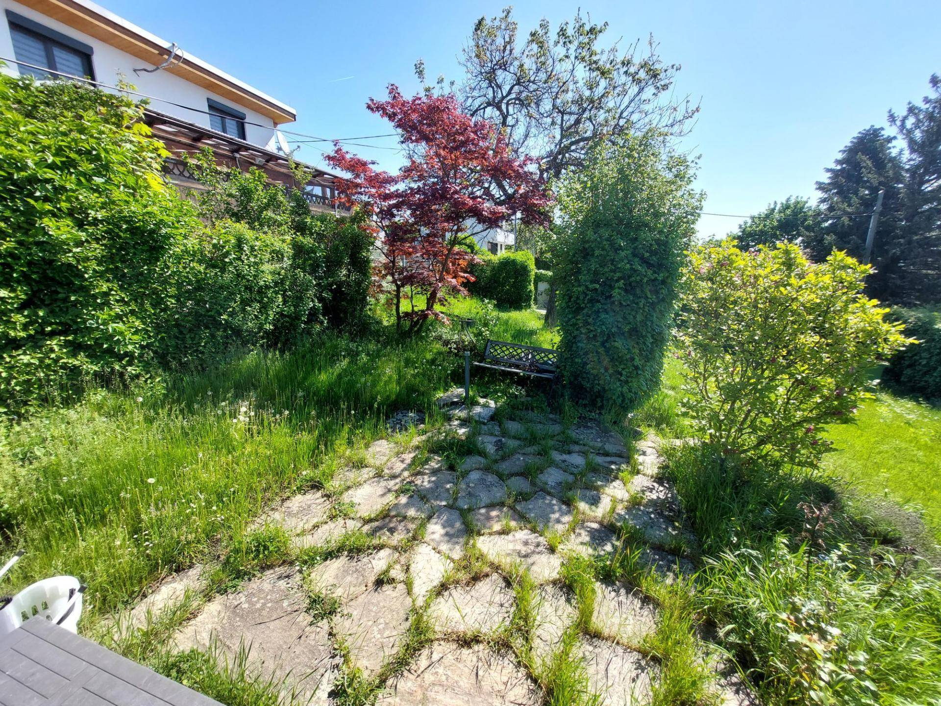 Terrasse 1