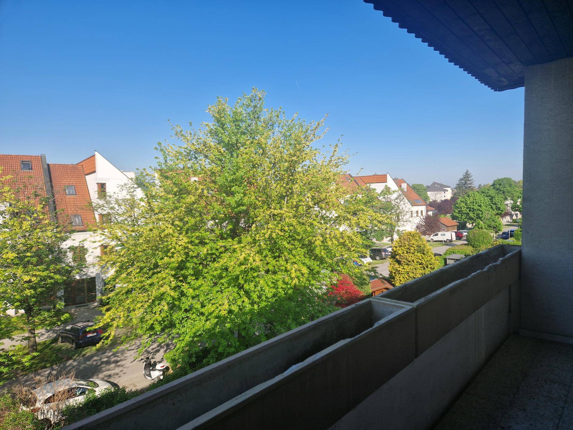 Ausblick1