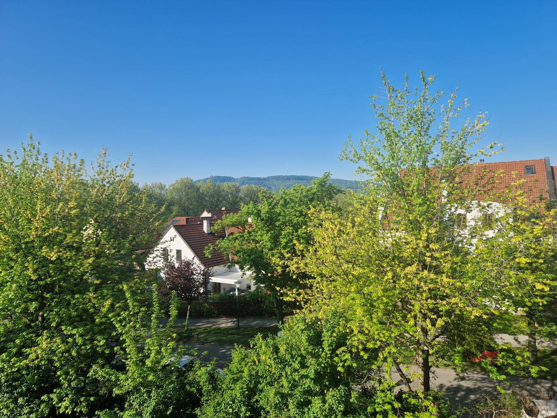 Ausblick2