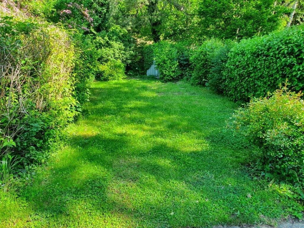 Garten 1