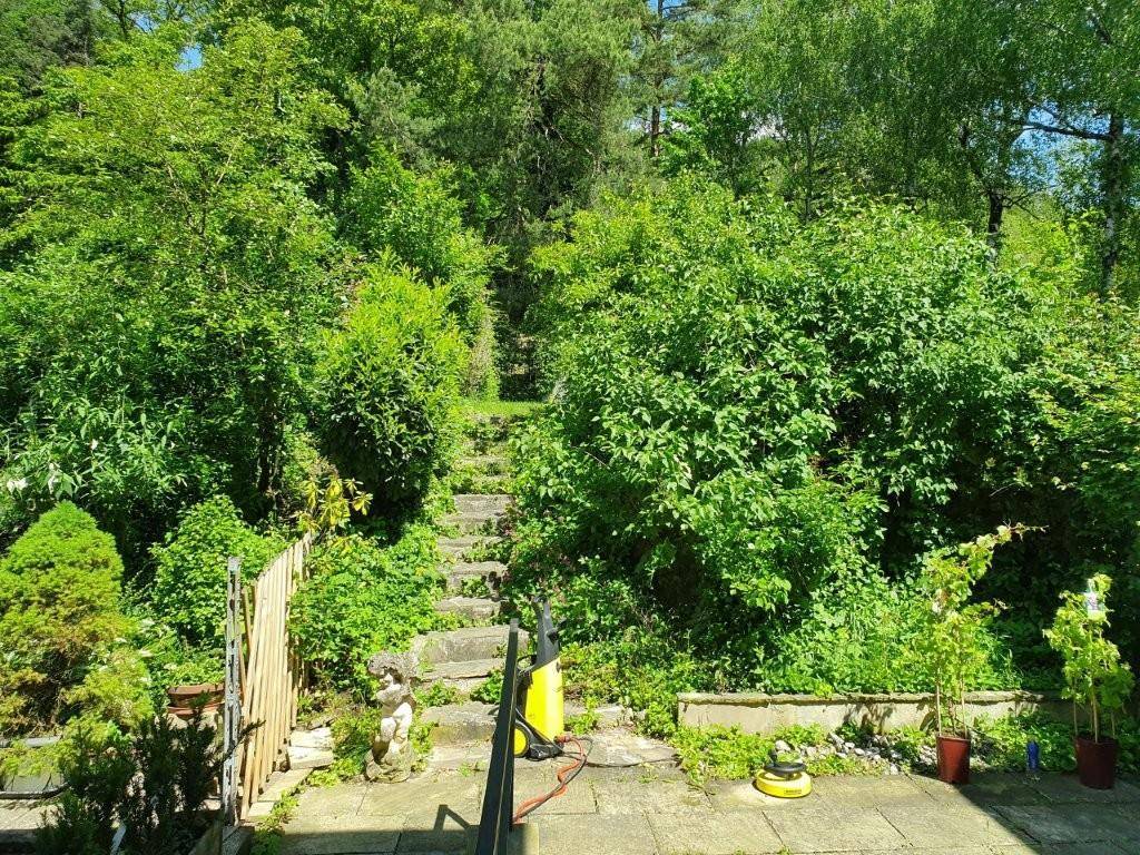 Garten 2
