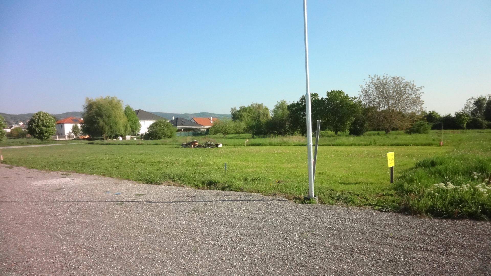 DSC03525