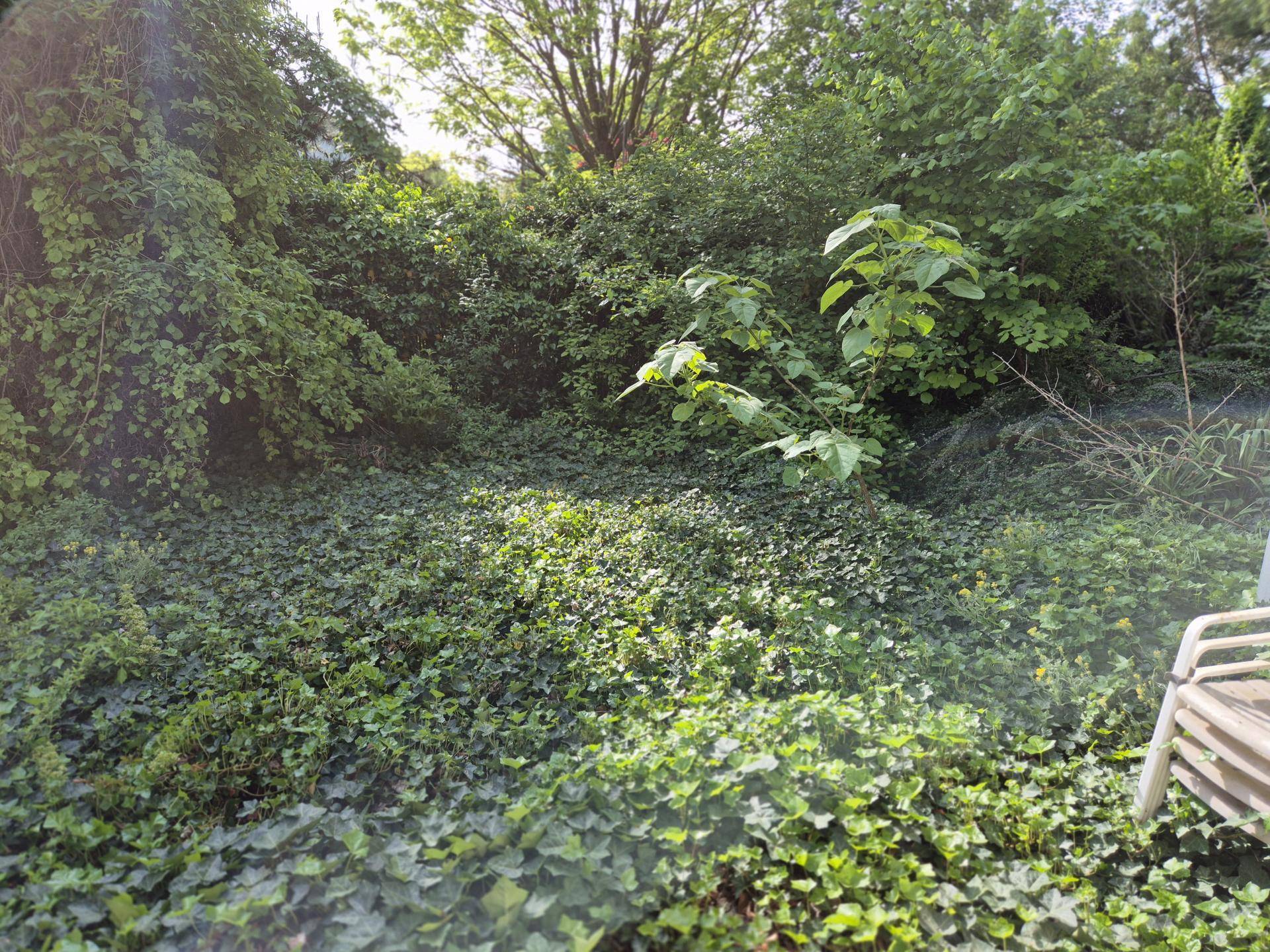 Terrasse-Garten rückwärts