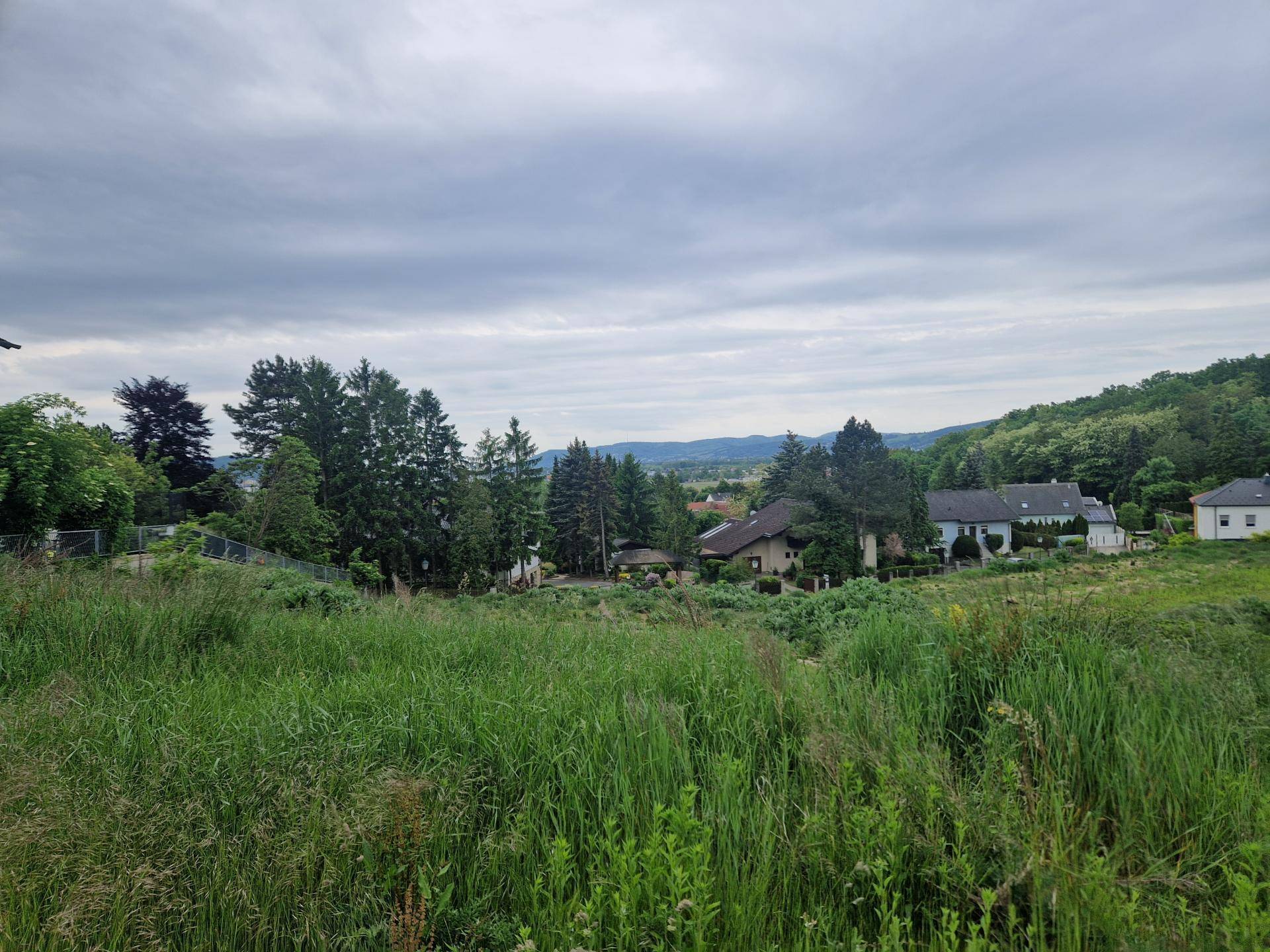 Weitläufiges, grünes Grundstück mit Blick auf umliegende Häuser und bewaldete Hügel unter bewölktem Himmel.