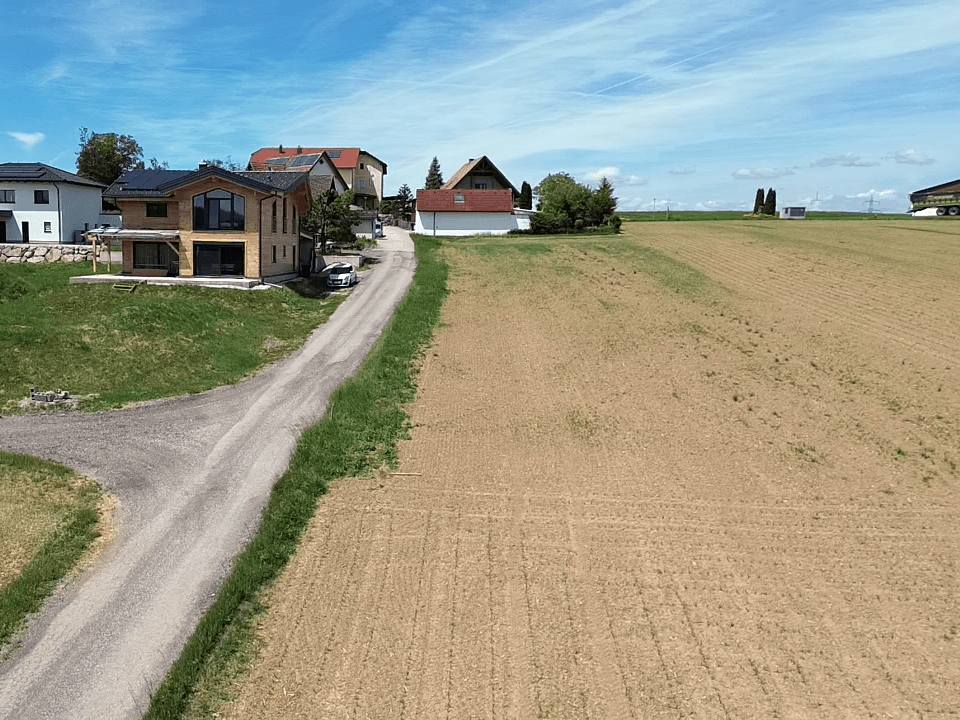 Igelschwang