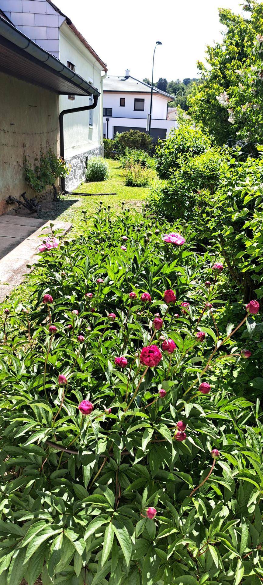 Garten III