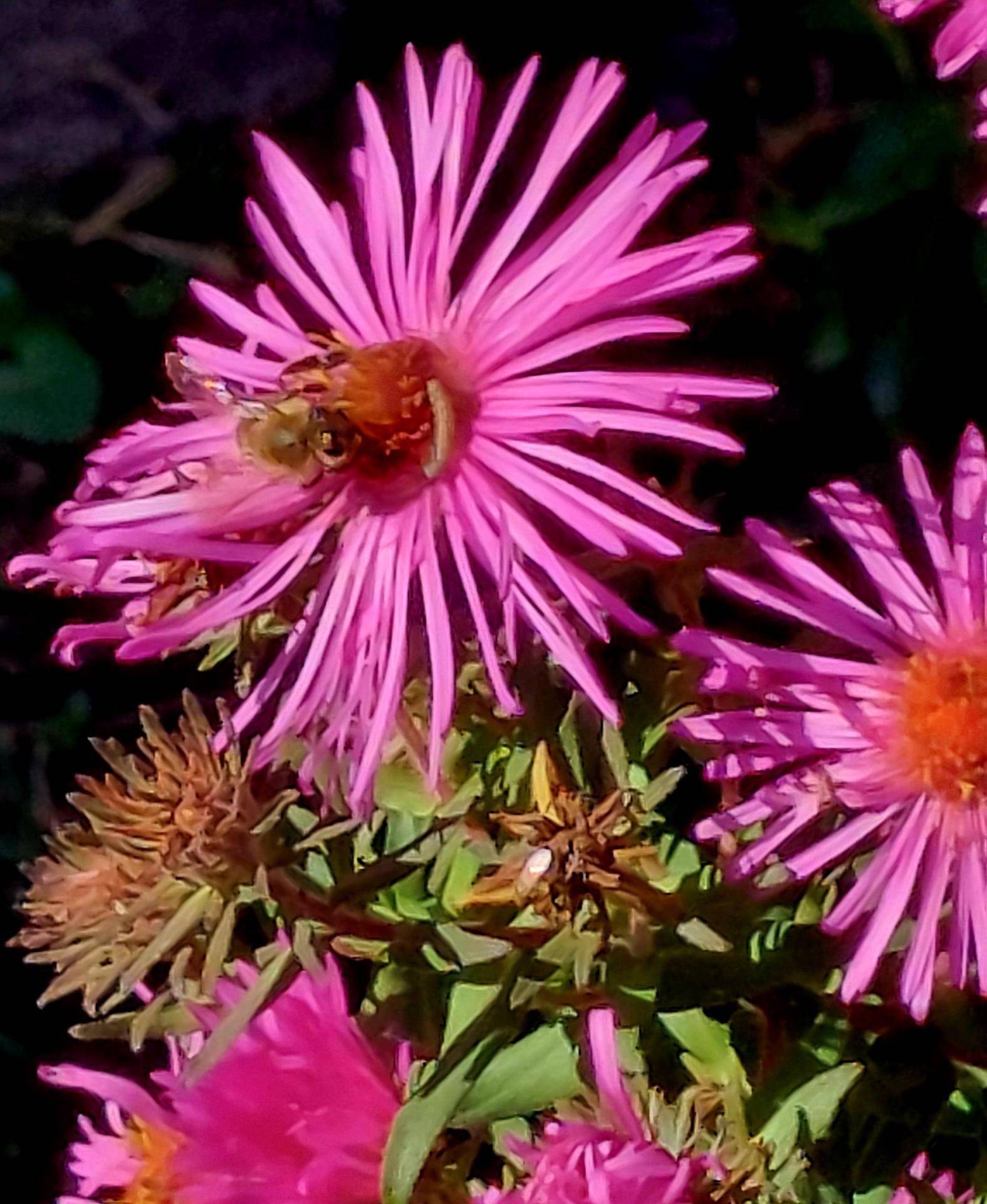 Impressionen3
