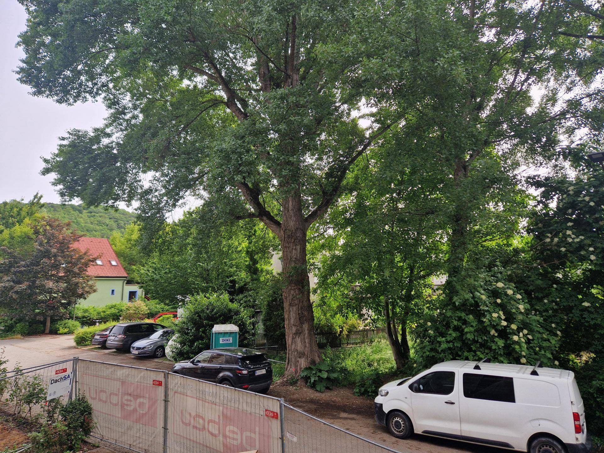 Ansicht6