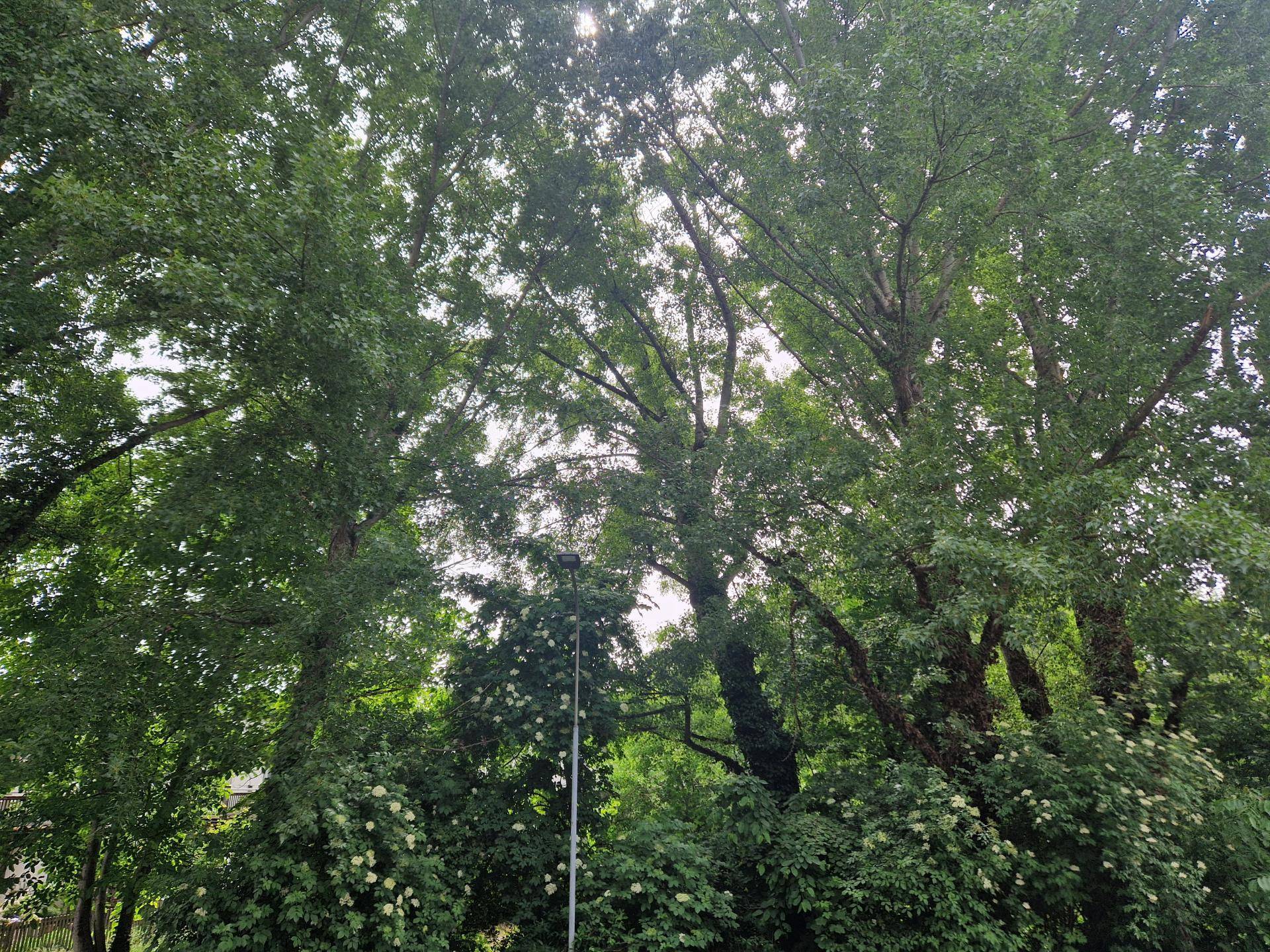 Ansicht7