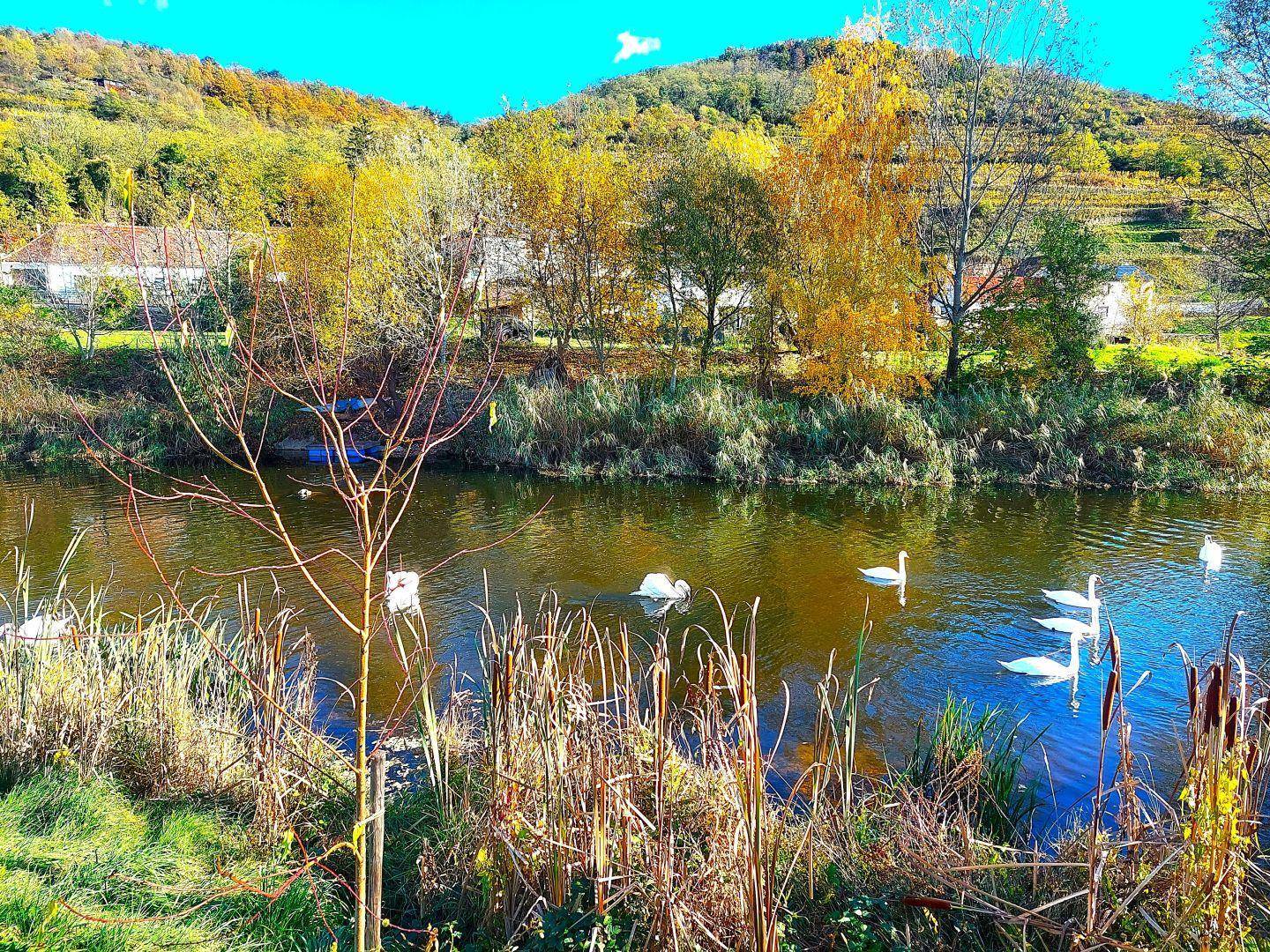 Impressionen6