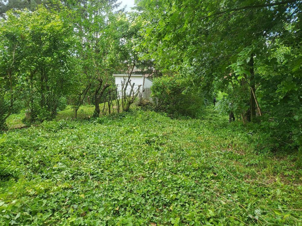 Garten hinter Halle