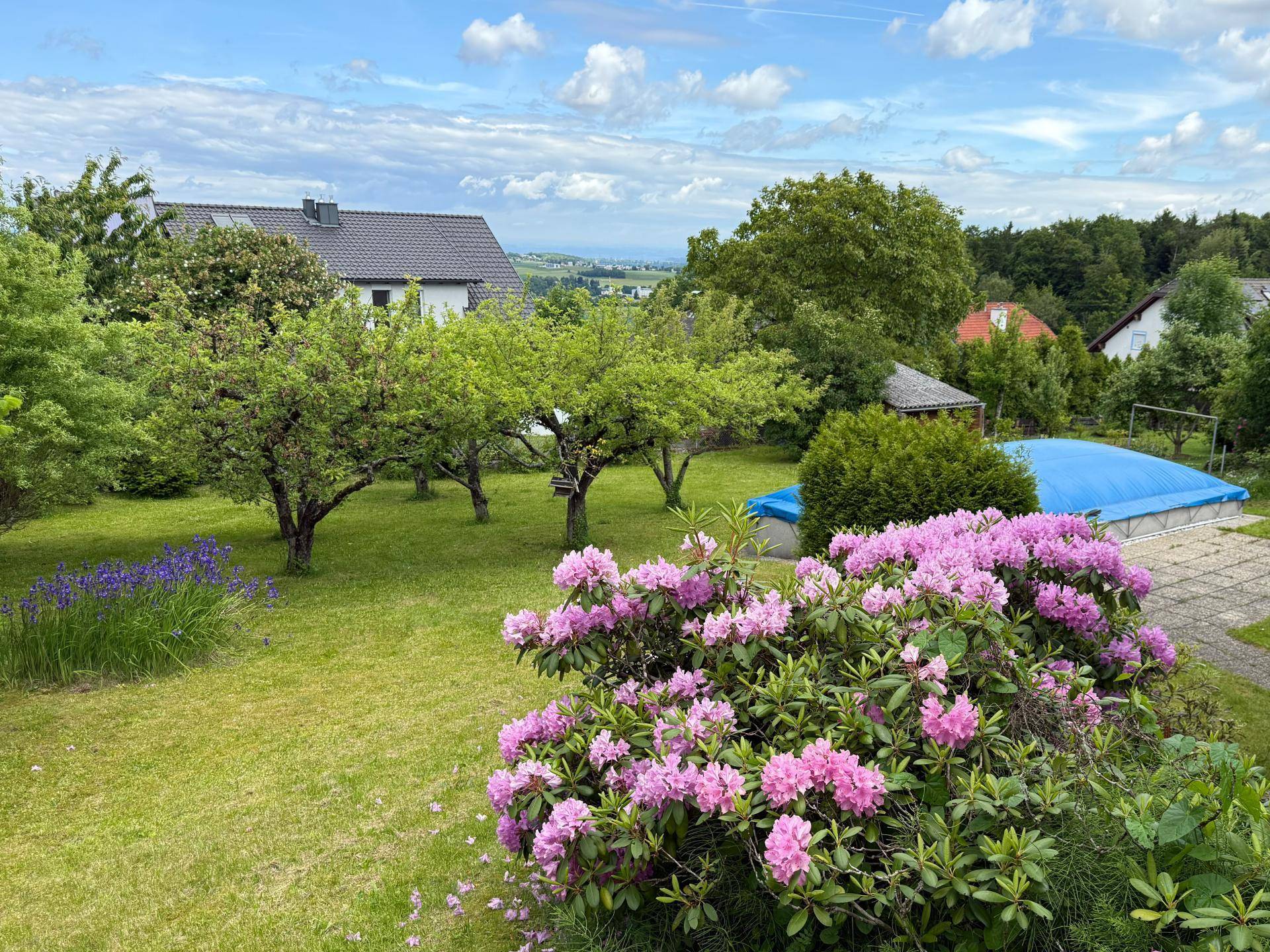 Blick in den Garten