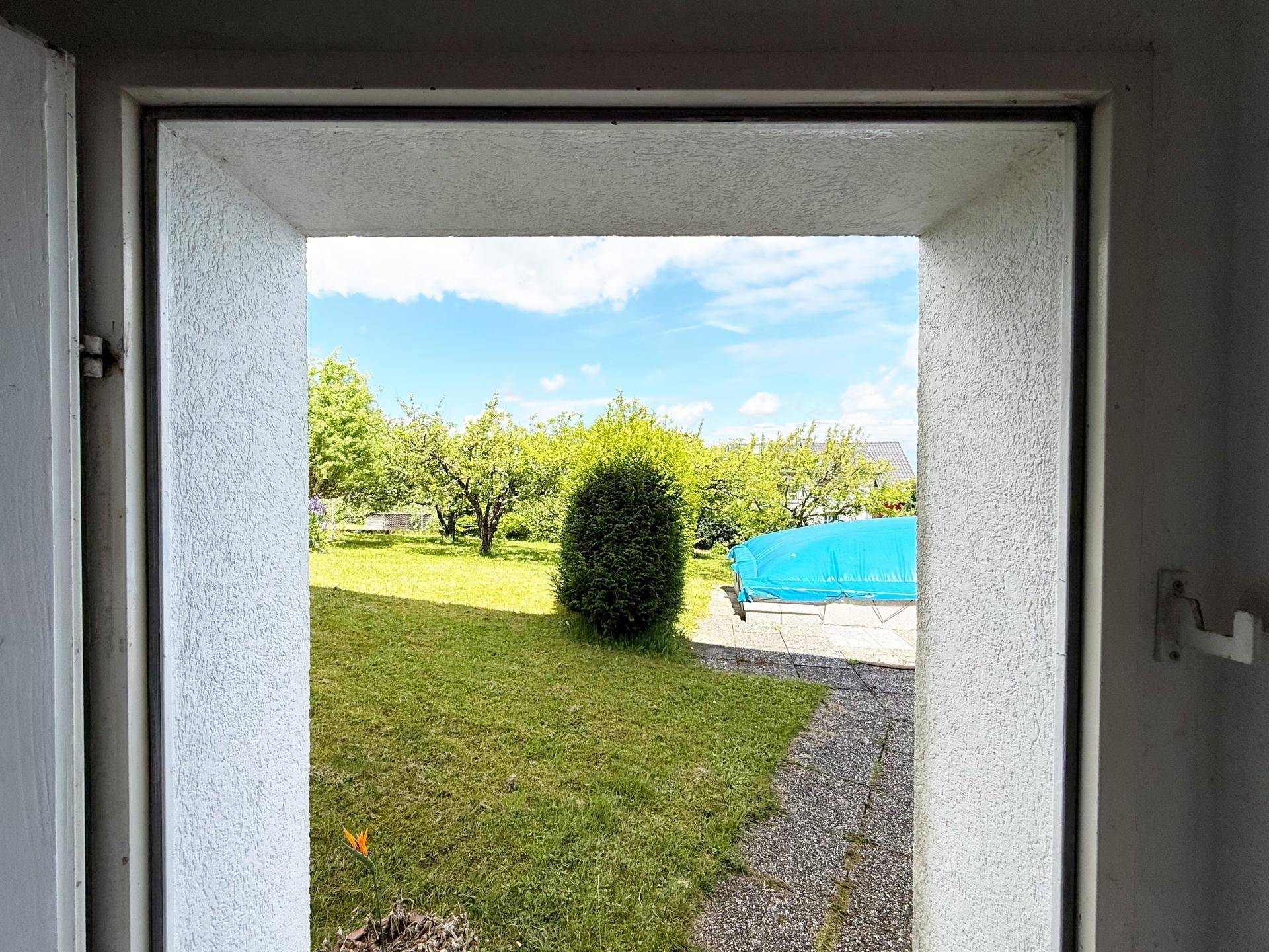Blick in den Garten
