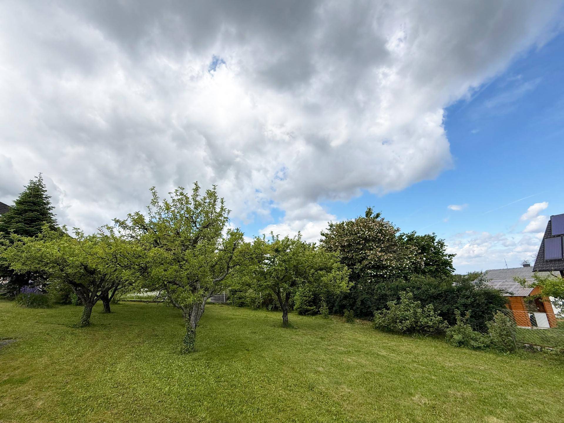 Blick in den Garten