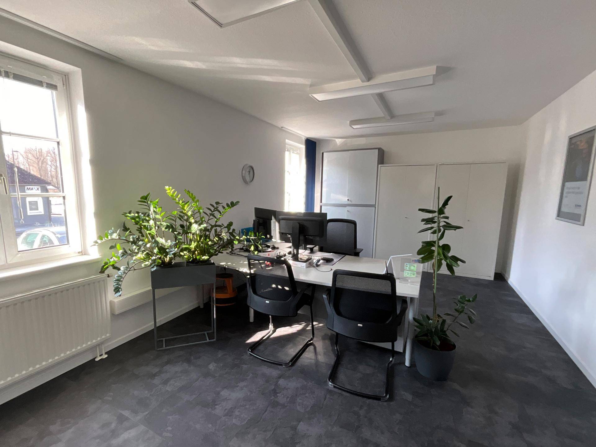 Helles Büro mit zwei Arbeitsplätzen, Pflanzen und großen Fenstern, die viel Tageslicht hereinlassen.