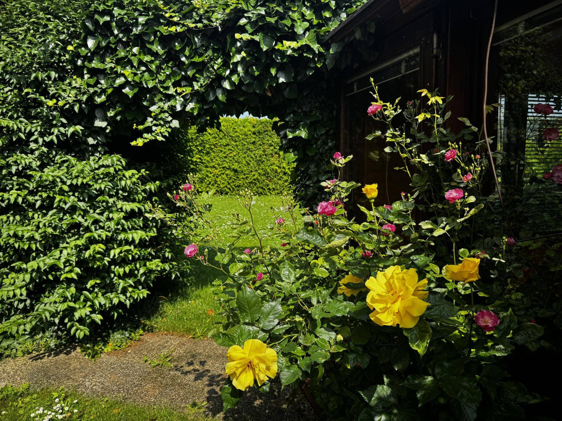 Gartenparadies
