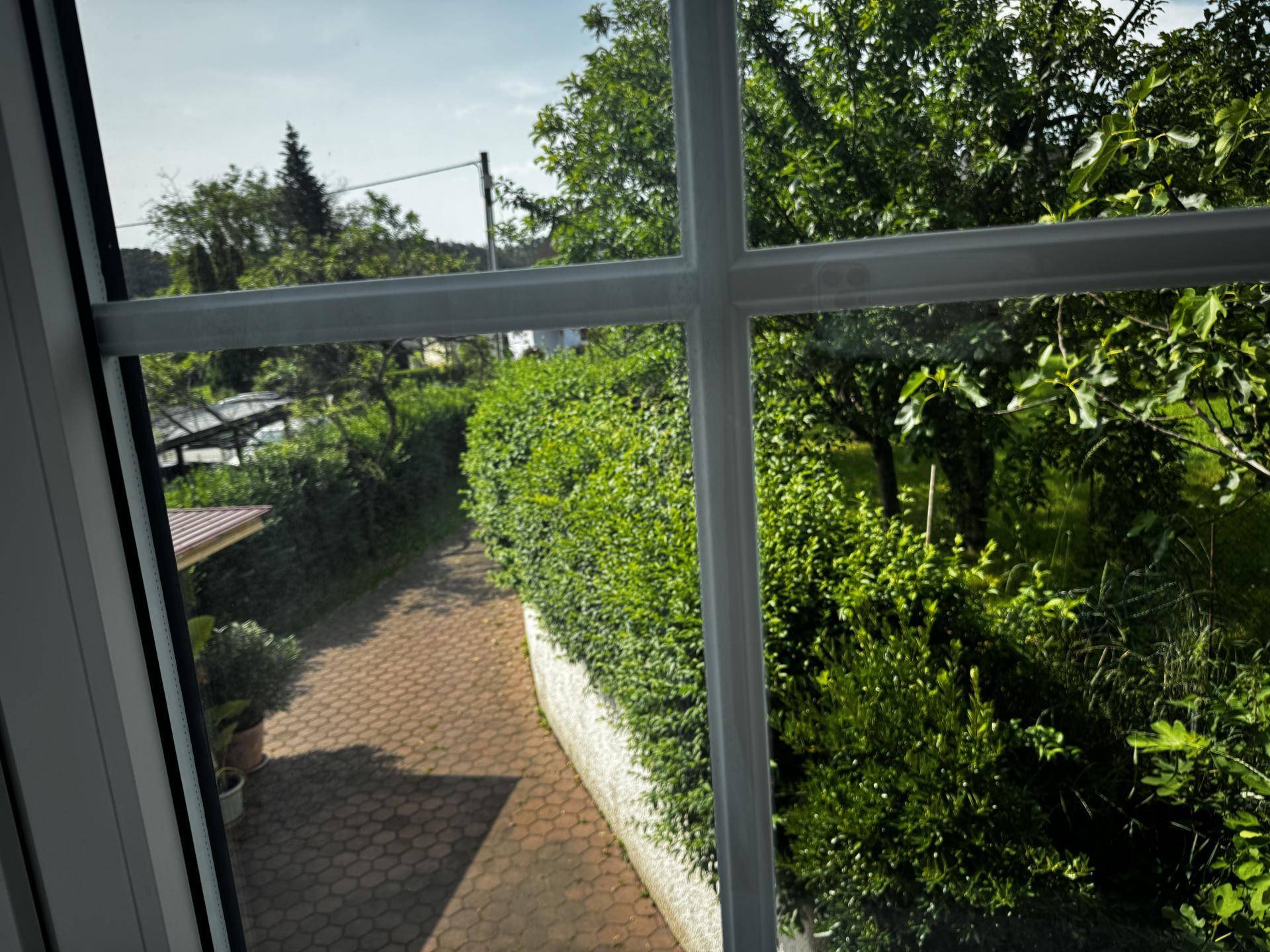 und Blick ins Grüne