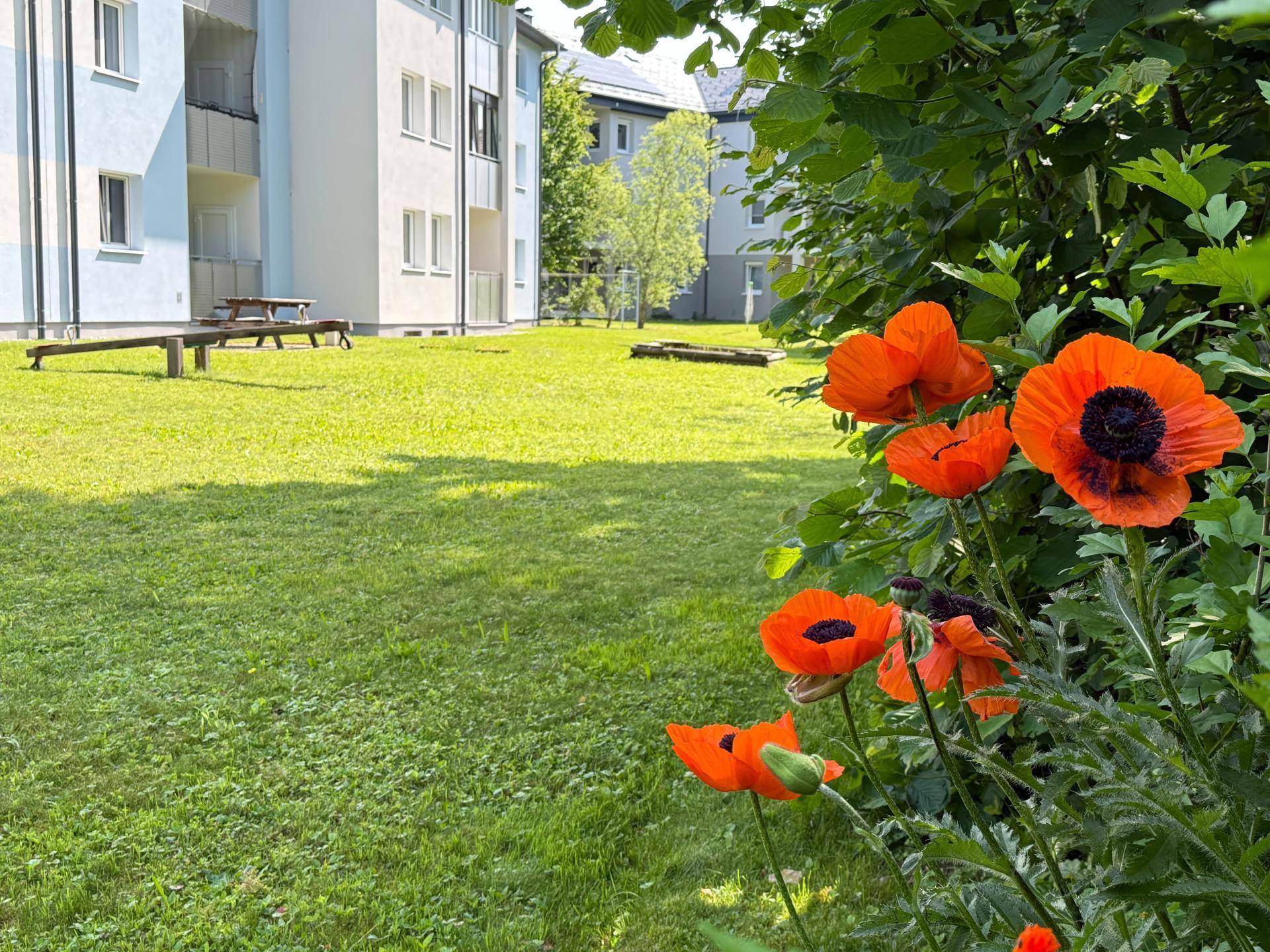 Aussenaufnahme Rückseite des Hauses